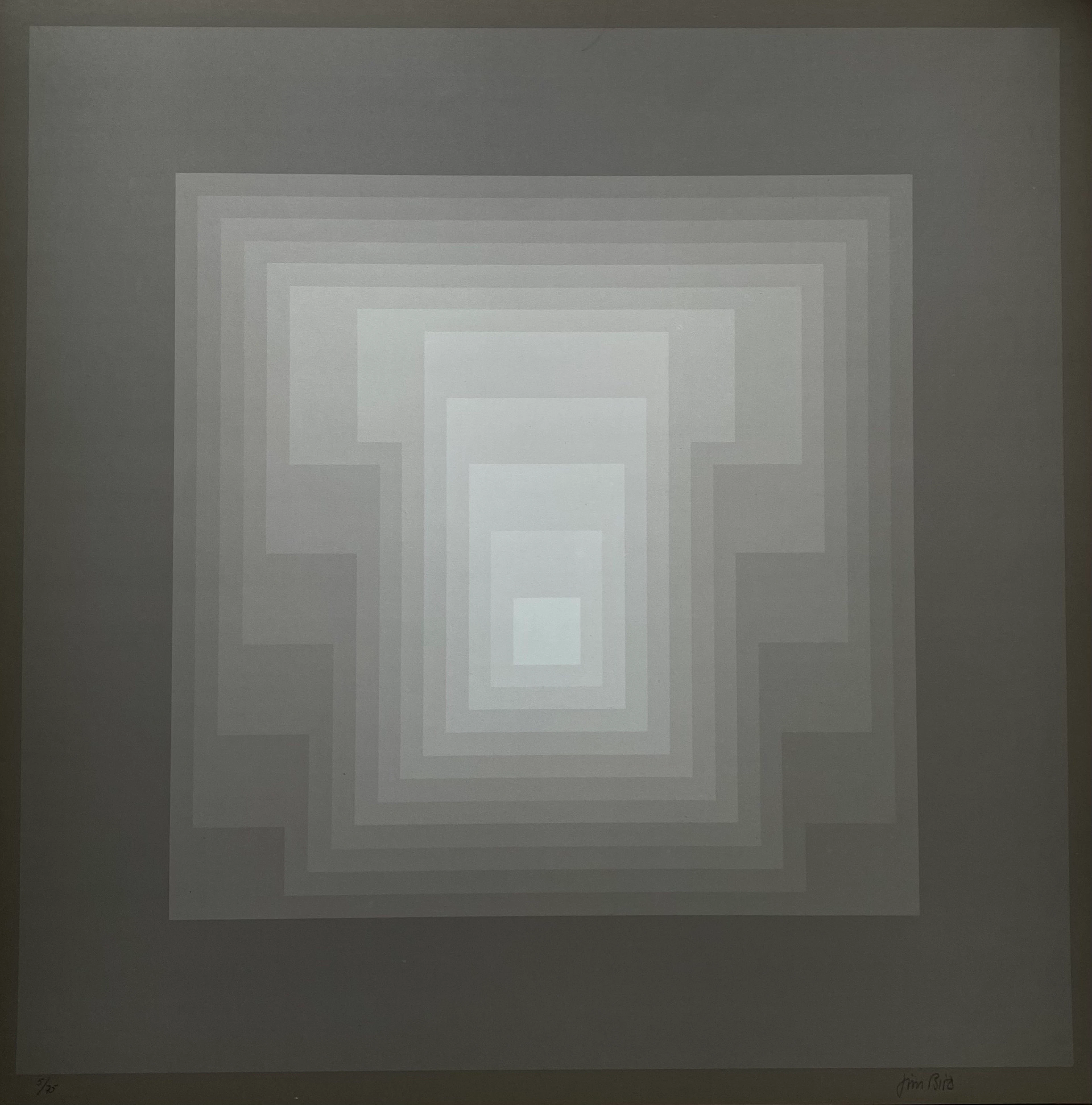Jim Bird - tribute to Vasarely