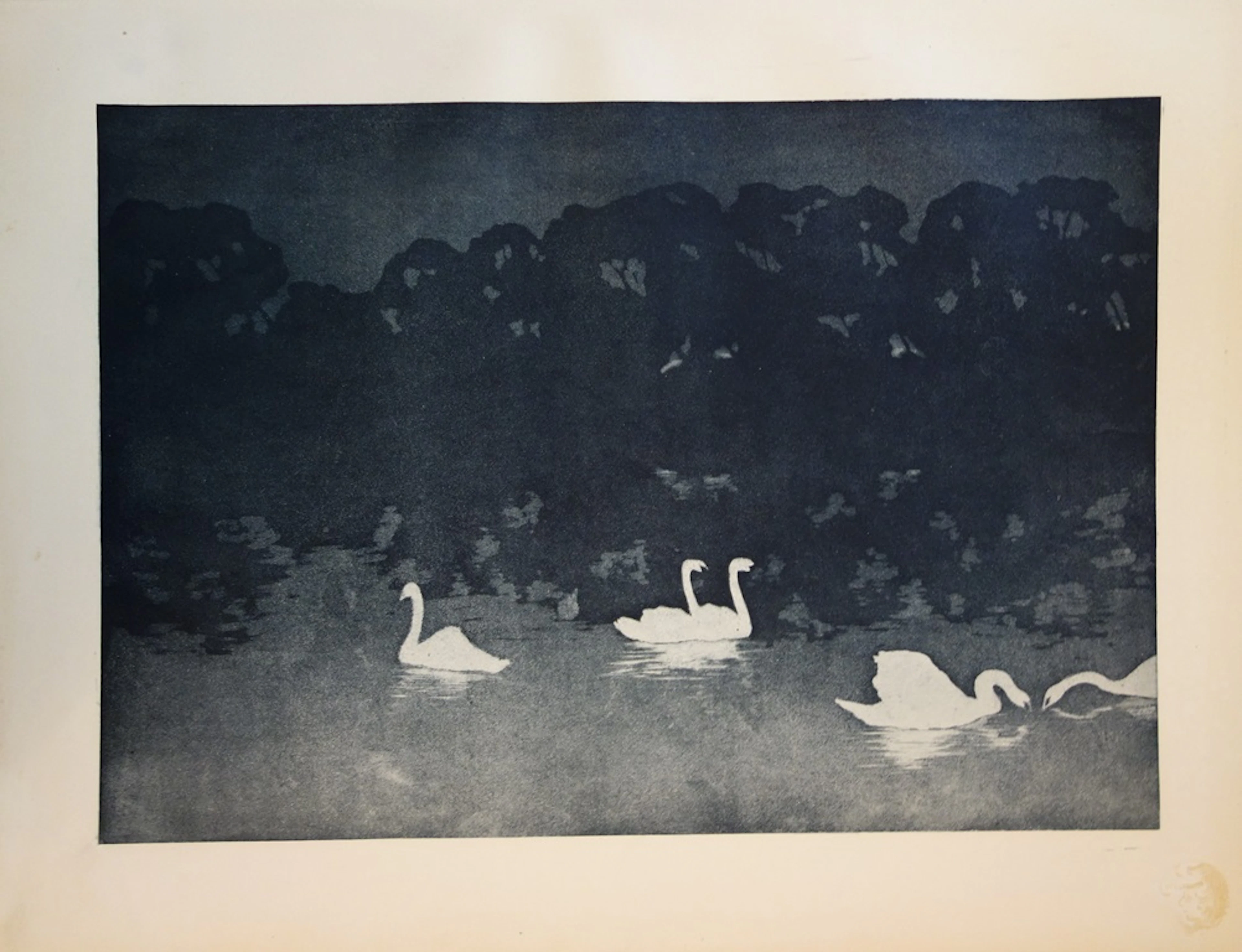 Francis Jourdain - Les cygnes, Lithographie originale signée (1897)