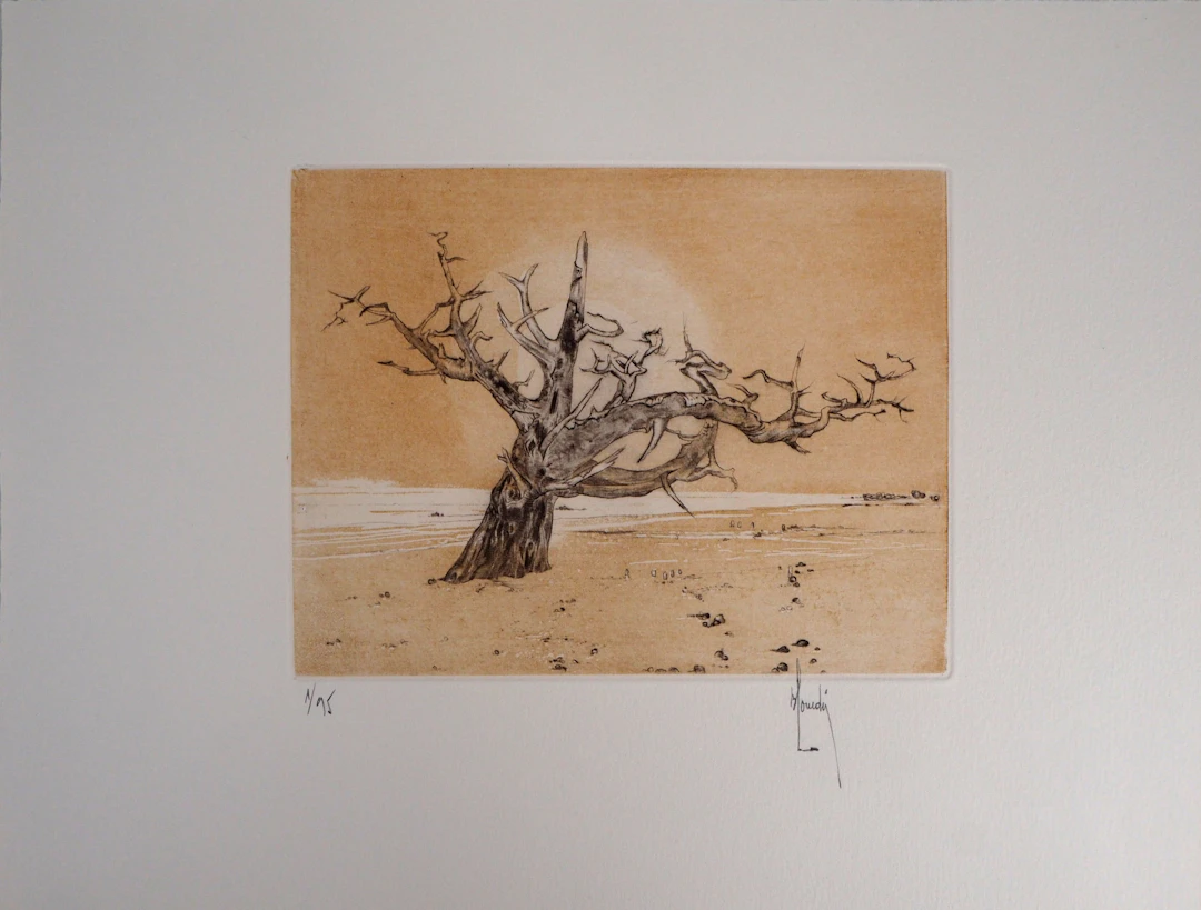 Bernard LOUEDIN : Le vieil olivier - Gravure signée