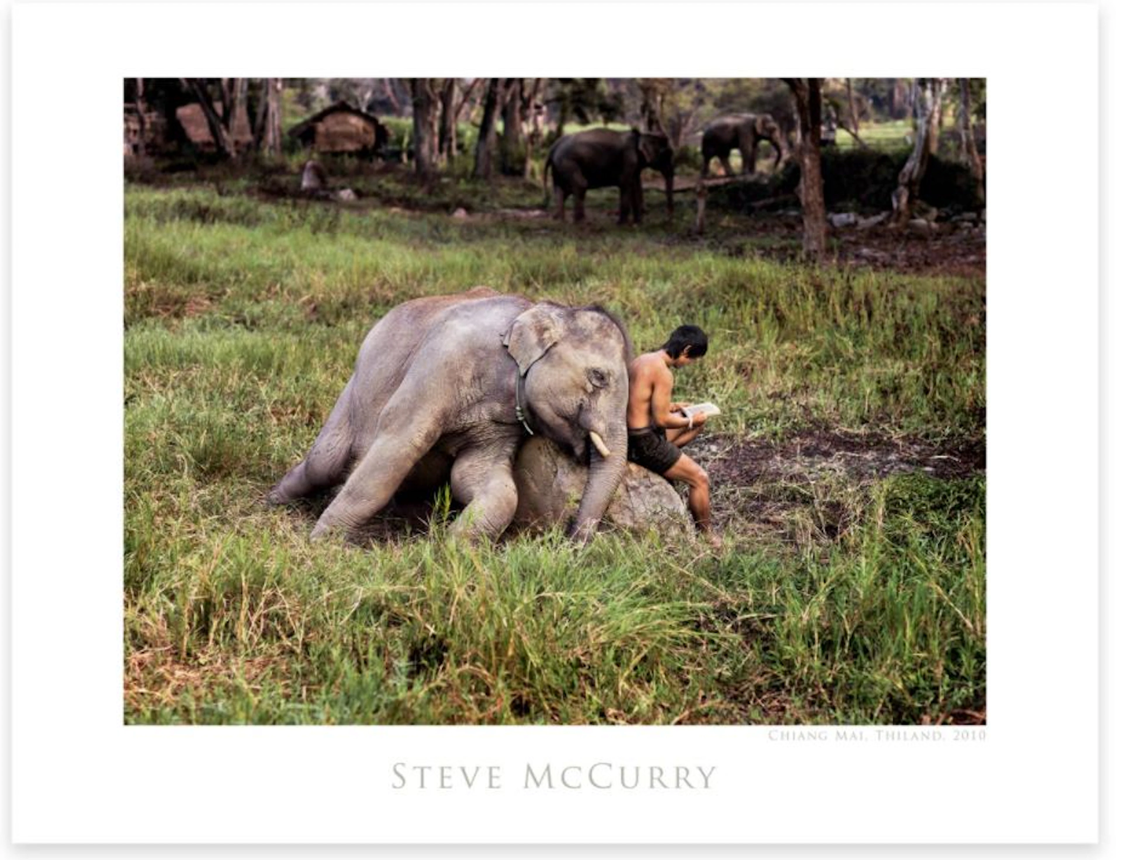 Steve MCCURRY - Mahout Reads With His Elephant - Affiche