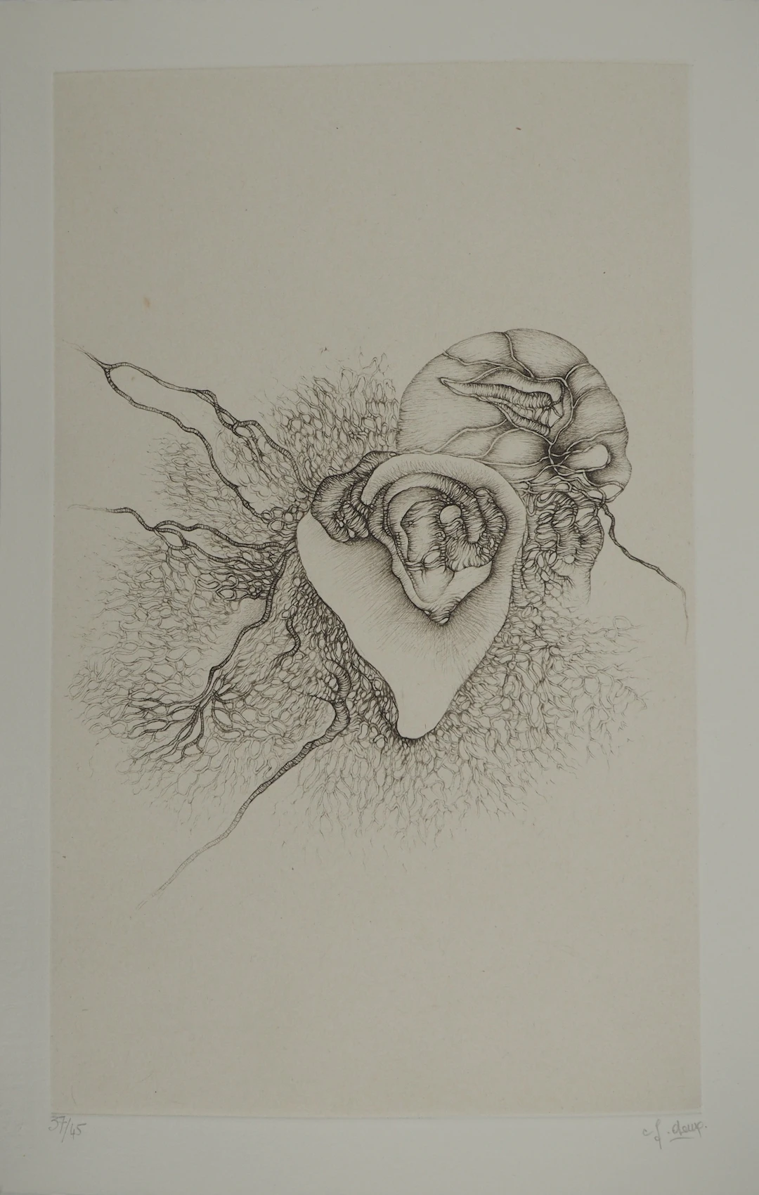 Fred DEUX : Anatomie abstraite, Gravure originale signée