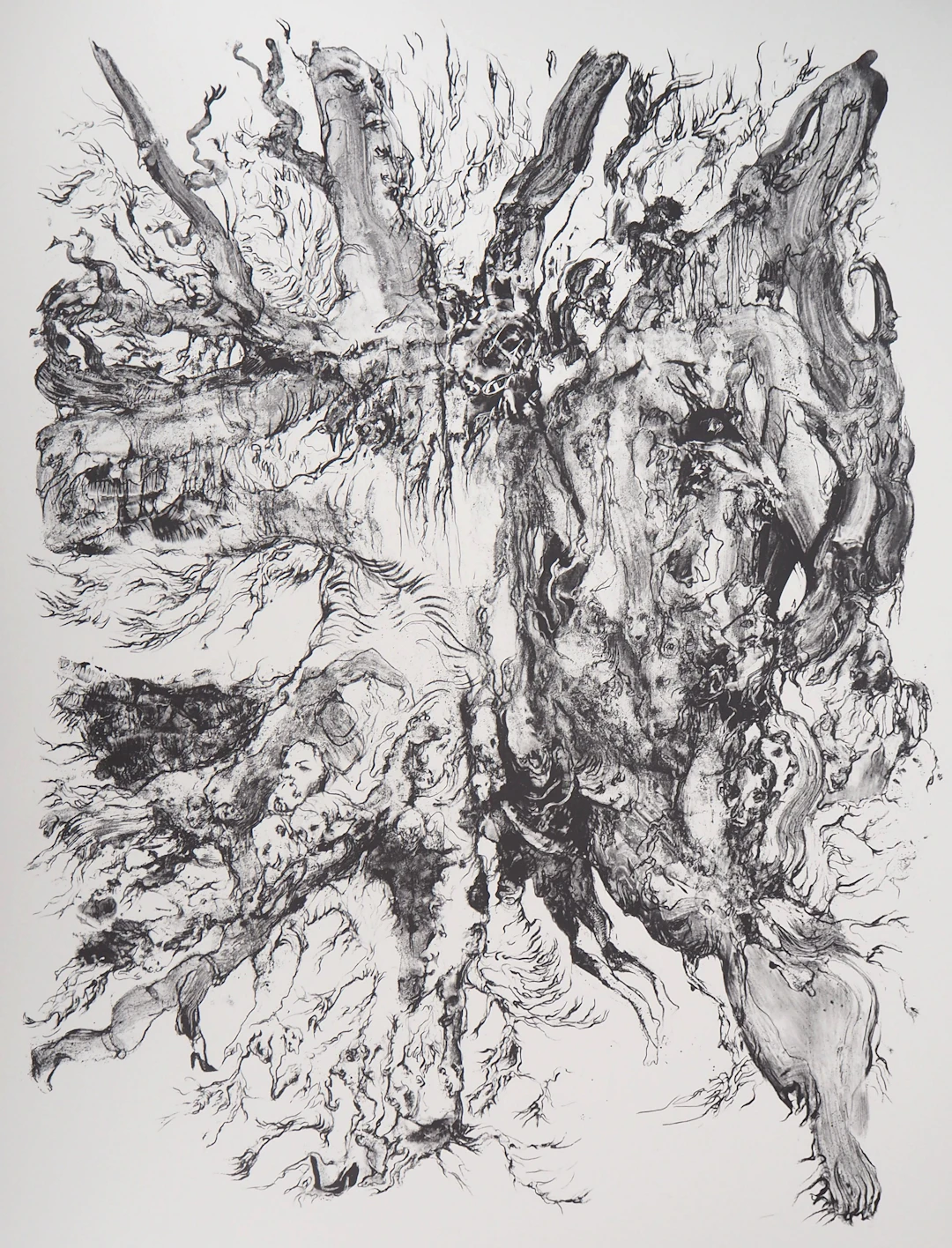 Charley CASE : Very Strange Fruits, Hallugraphies, 2005 - Lithographie