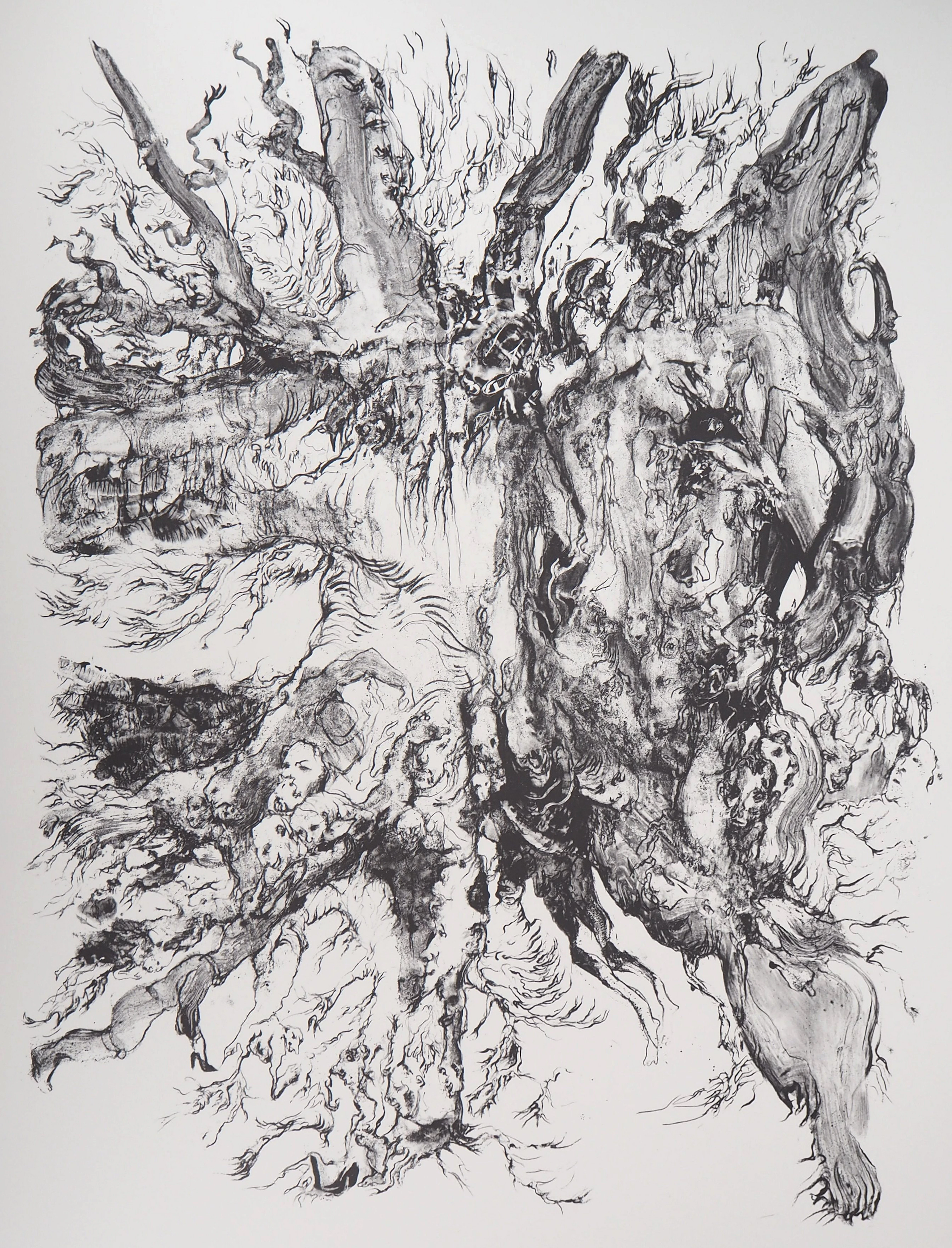 Charley CASE : Very Strange Fruits, Hallugraphies, 2005 - Lithographie