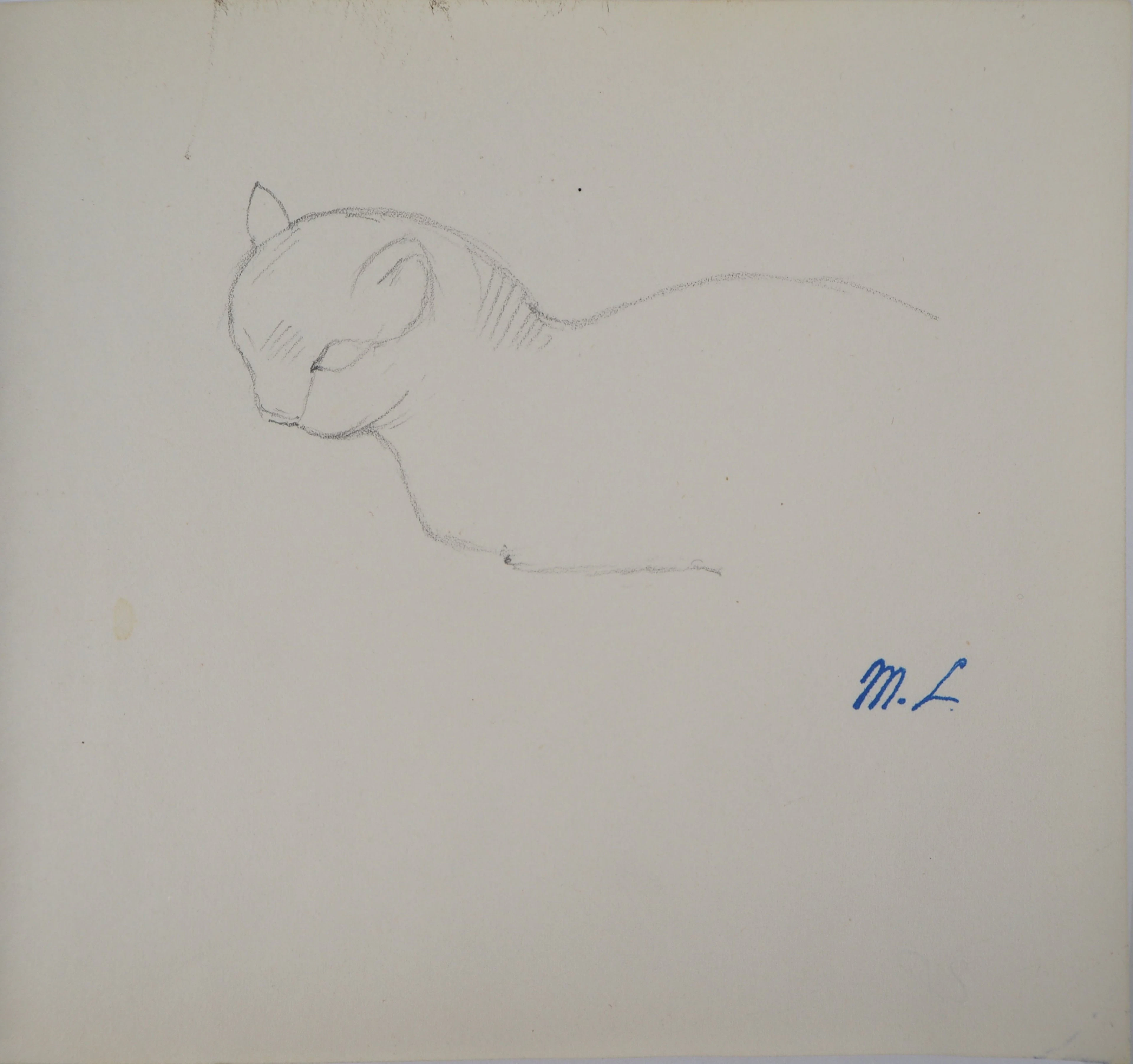 Marie LAURENCIN : Etude du chat, Dessin original signé