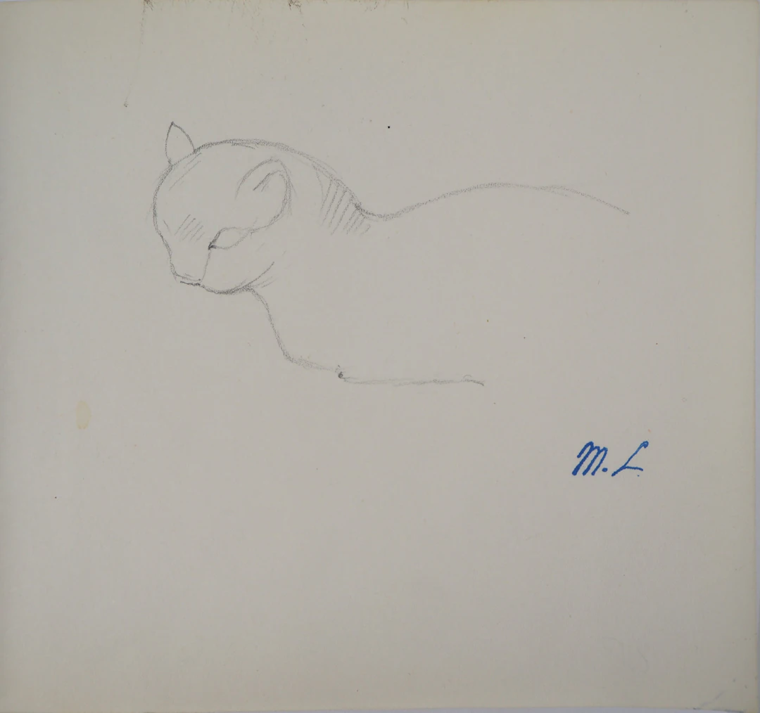 Marie LAURENCIN : Etude du chat, Dessin original signé