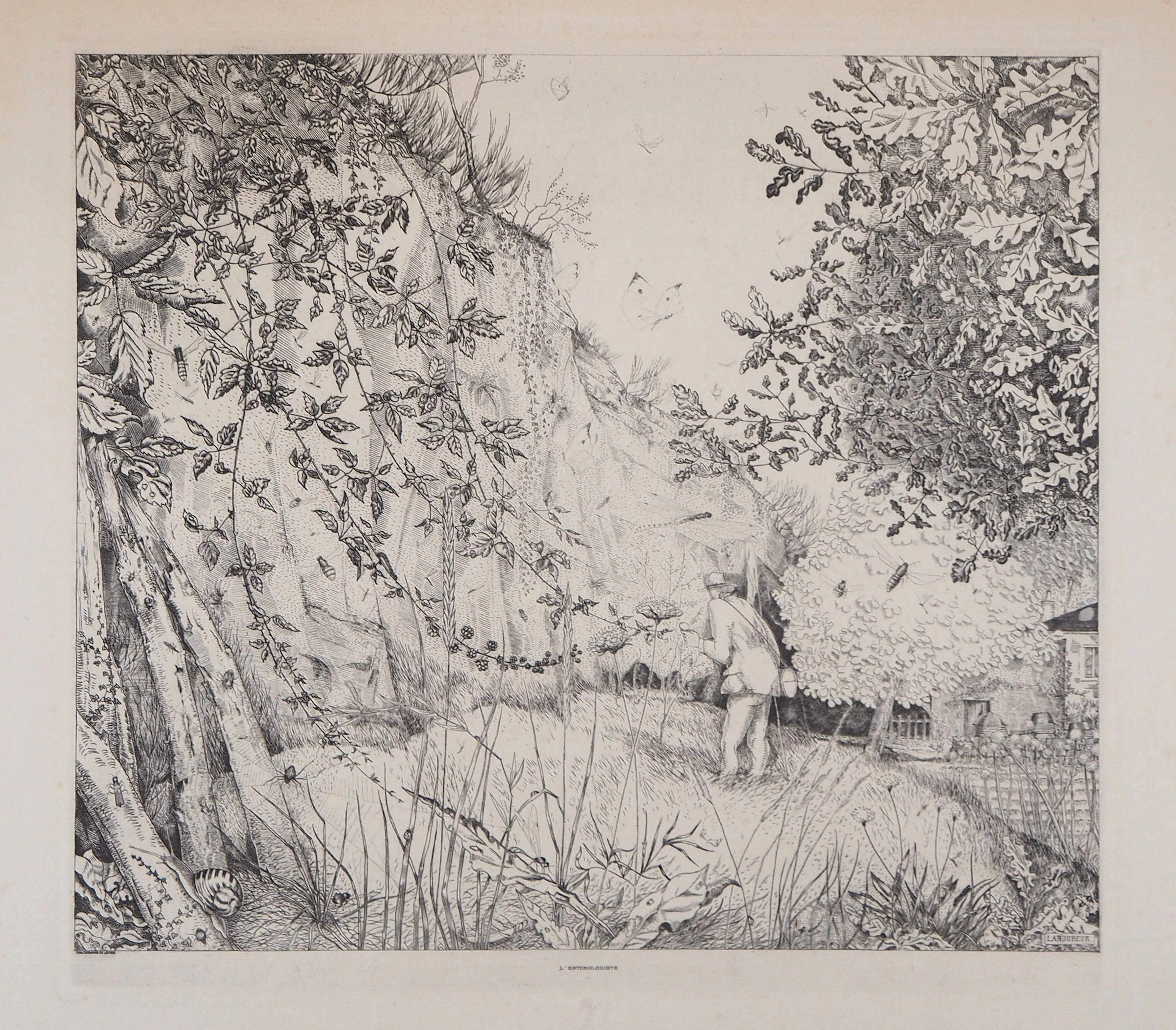 Jean Emile LABOUREUR : L’Entomologiste - Gravure originale signée