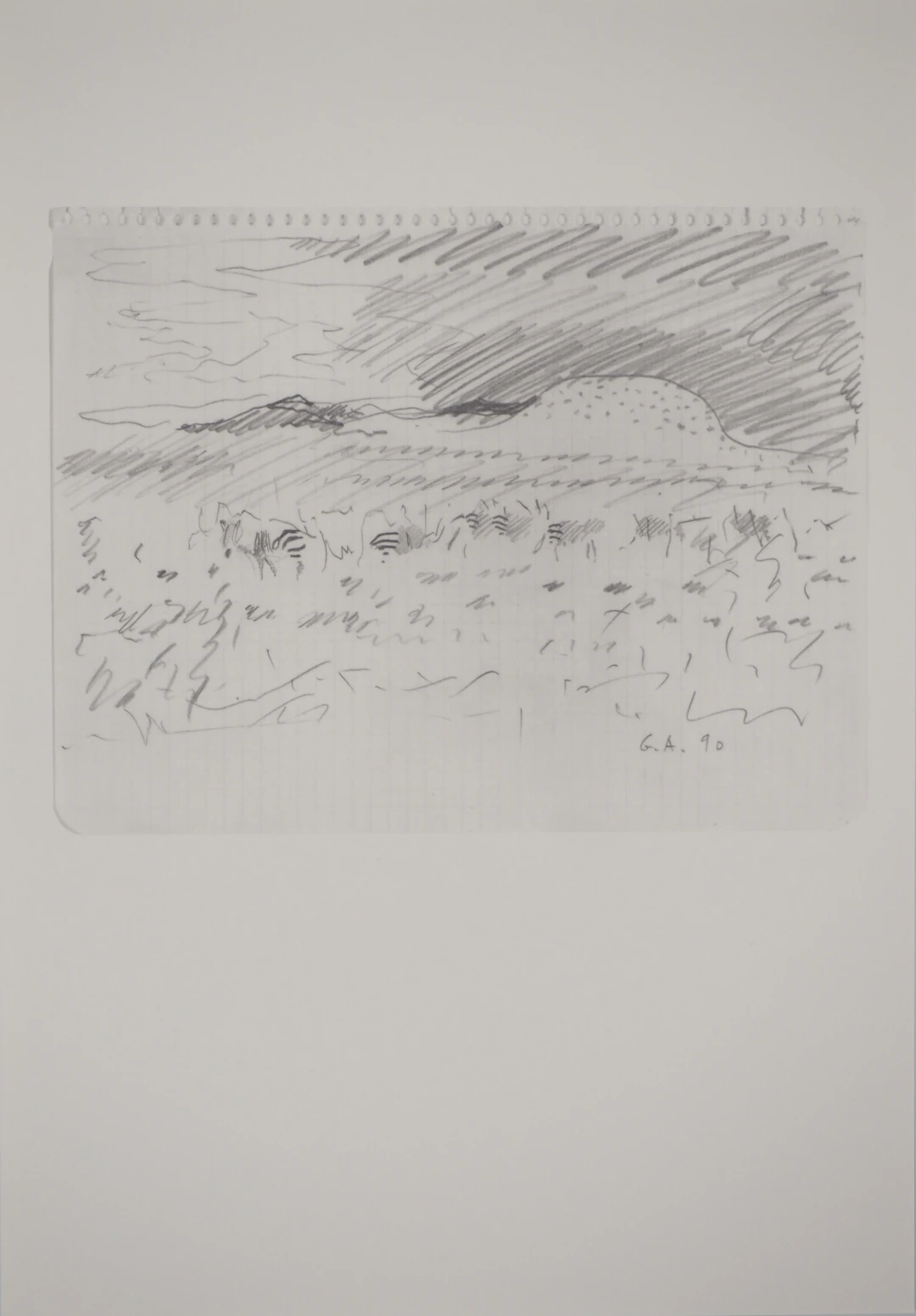 Gilles AILLAUD : Paysage avec zèbres, Héliogravure signée