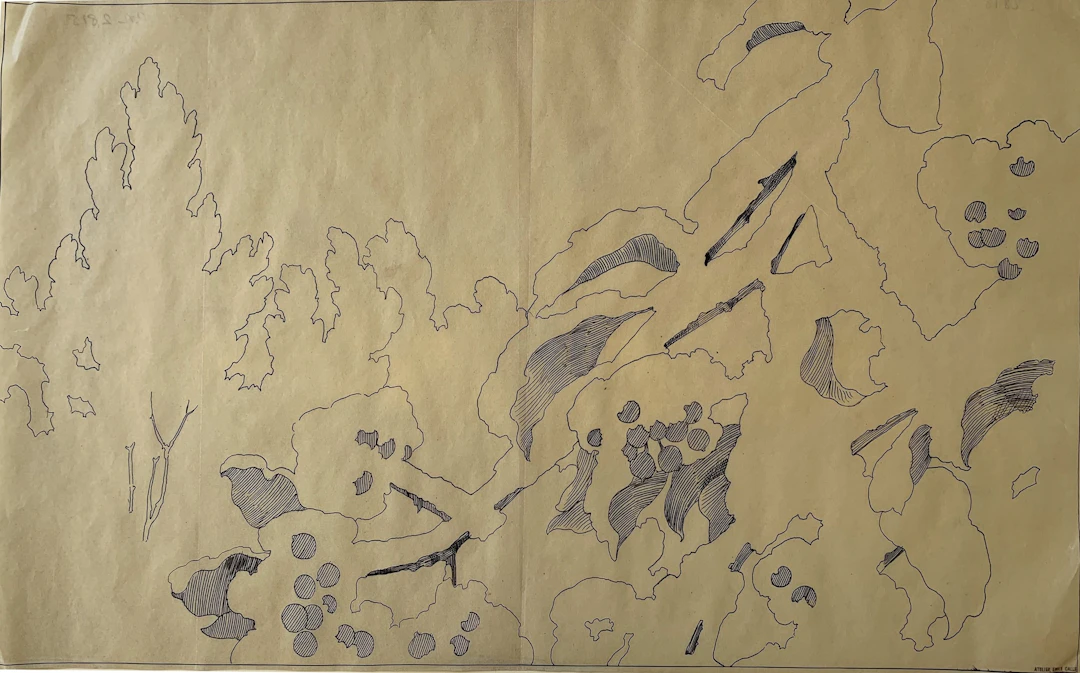 Emile GALLÉ - Etude pour un projet de décoration en marqueterie - Dessin