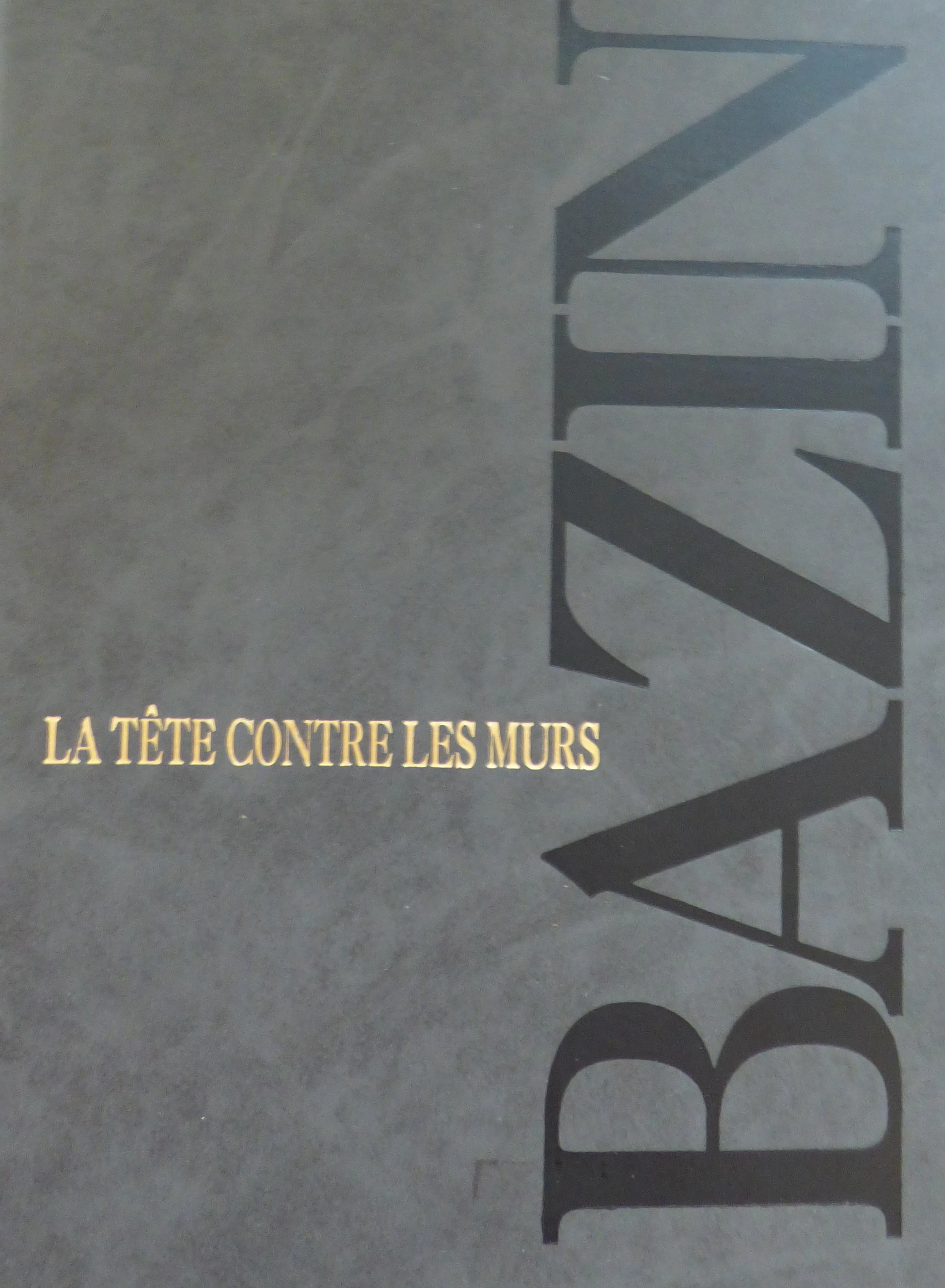 Hervé BAZIN - La tête contre les murs, 1986