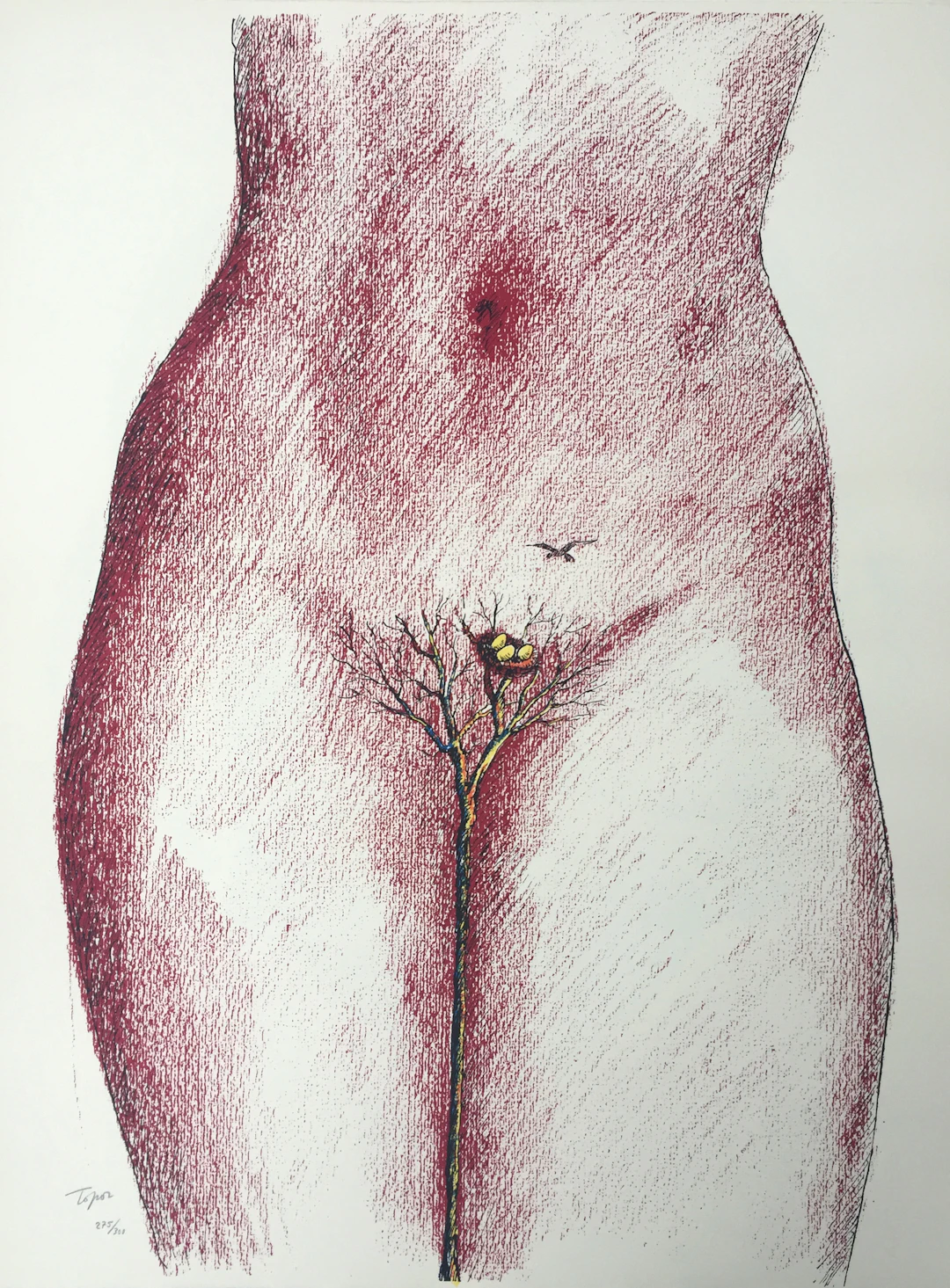 Roland TOPOR - Le nid, 1970 - Lithographie signée au crayon