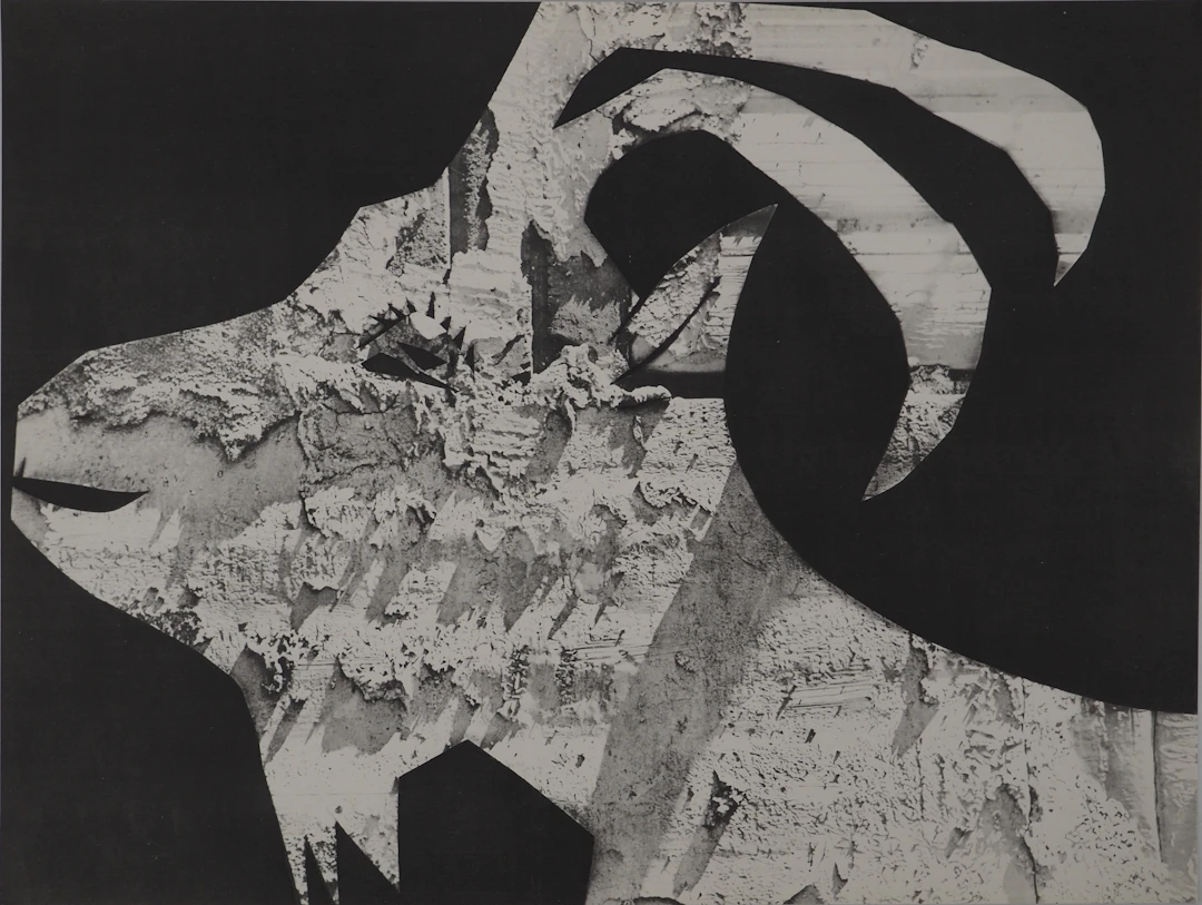 Pablo PICASSO : Diurnes, La chèvre aux gravois, Phototypie originale