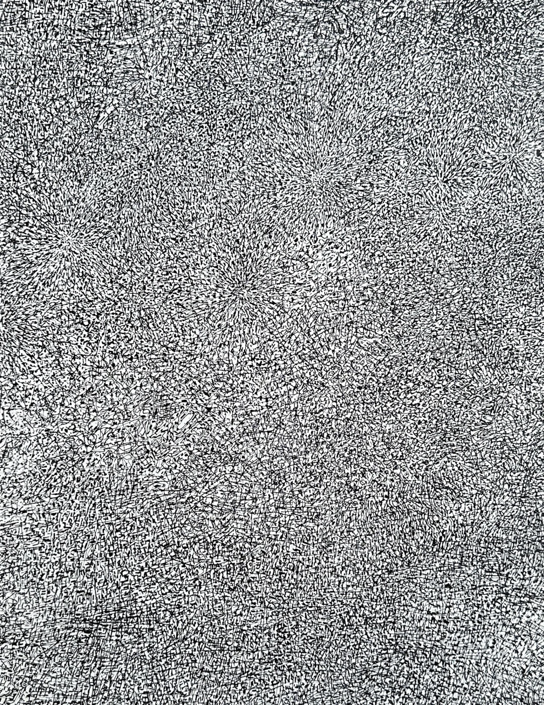 Jean Dubuffet - Prairie de barbe 1960 - Sérigraphie