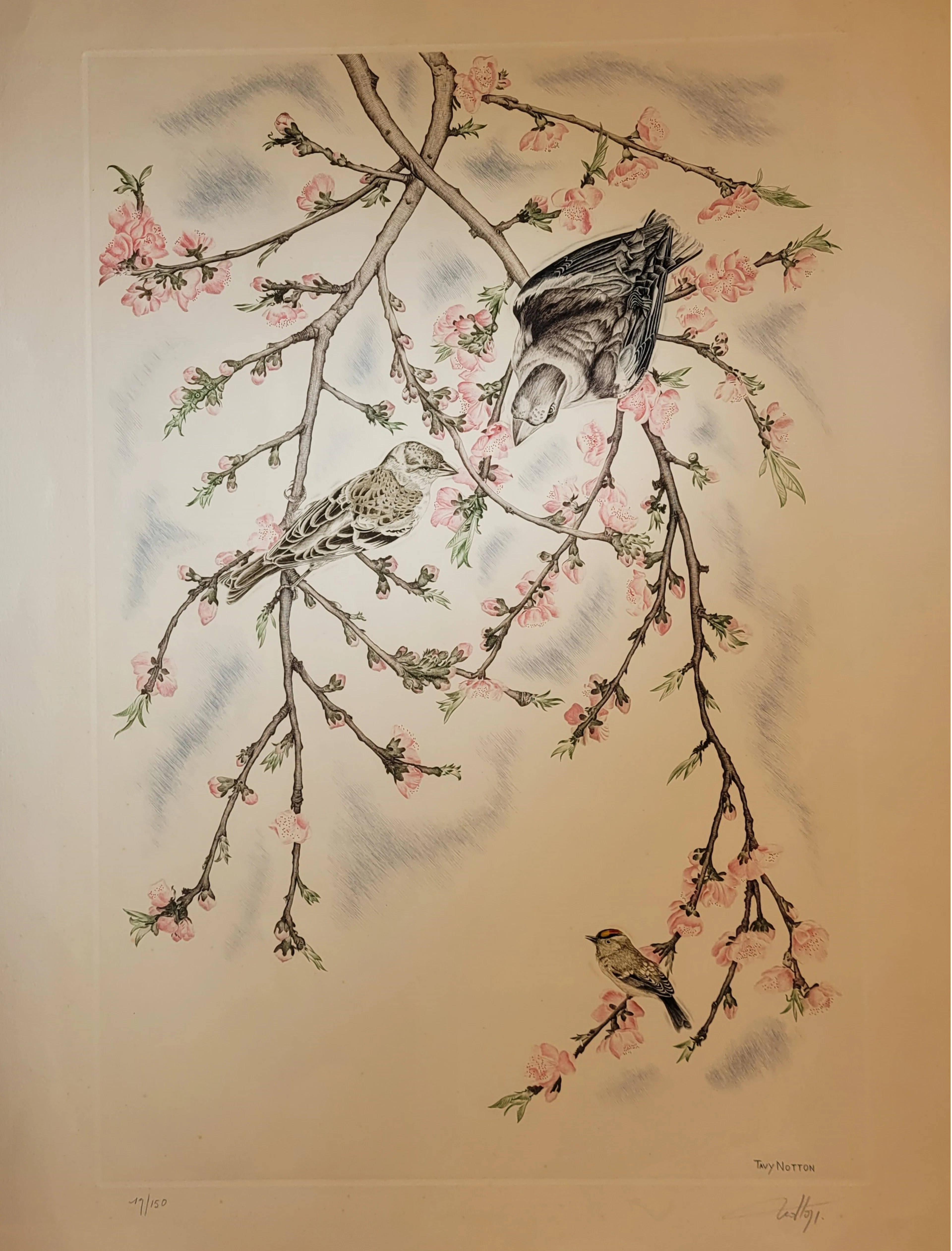 Tavy NOTTON - Chants de la forêt, 1968 - Gravure originale signée au crayon