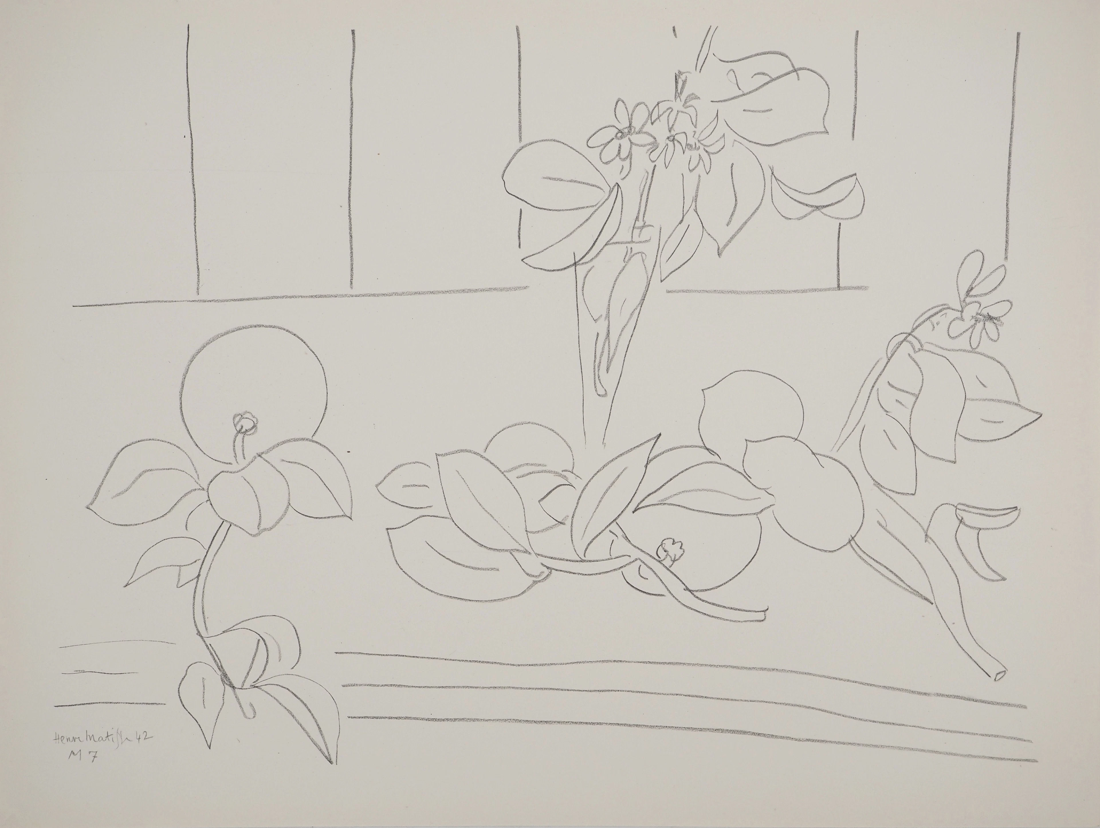 Henri MATISSE : Représentation florale, Lithographie signée