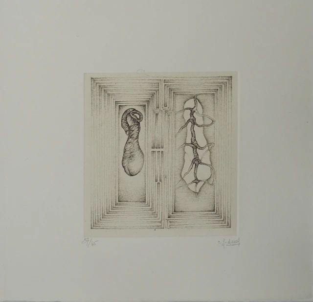 Fred DEUX : Double jeux, Gravure originale signée