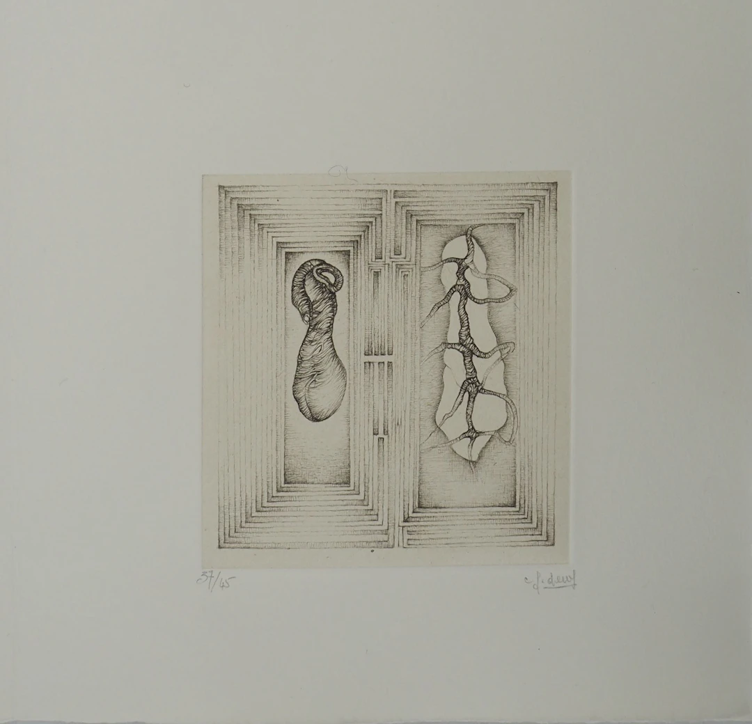 Fred DEUX : Double jeux, Gravure originale signée