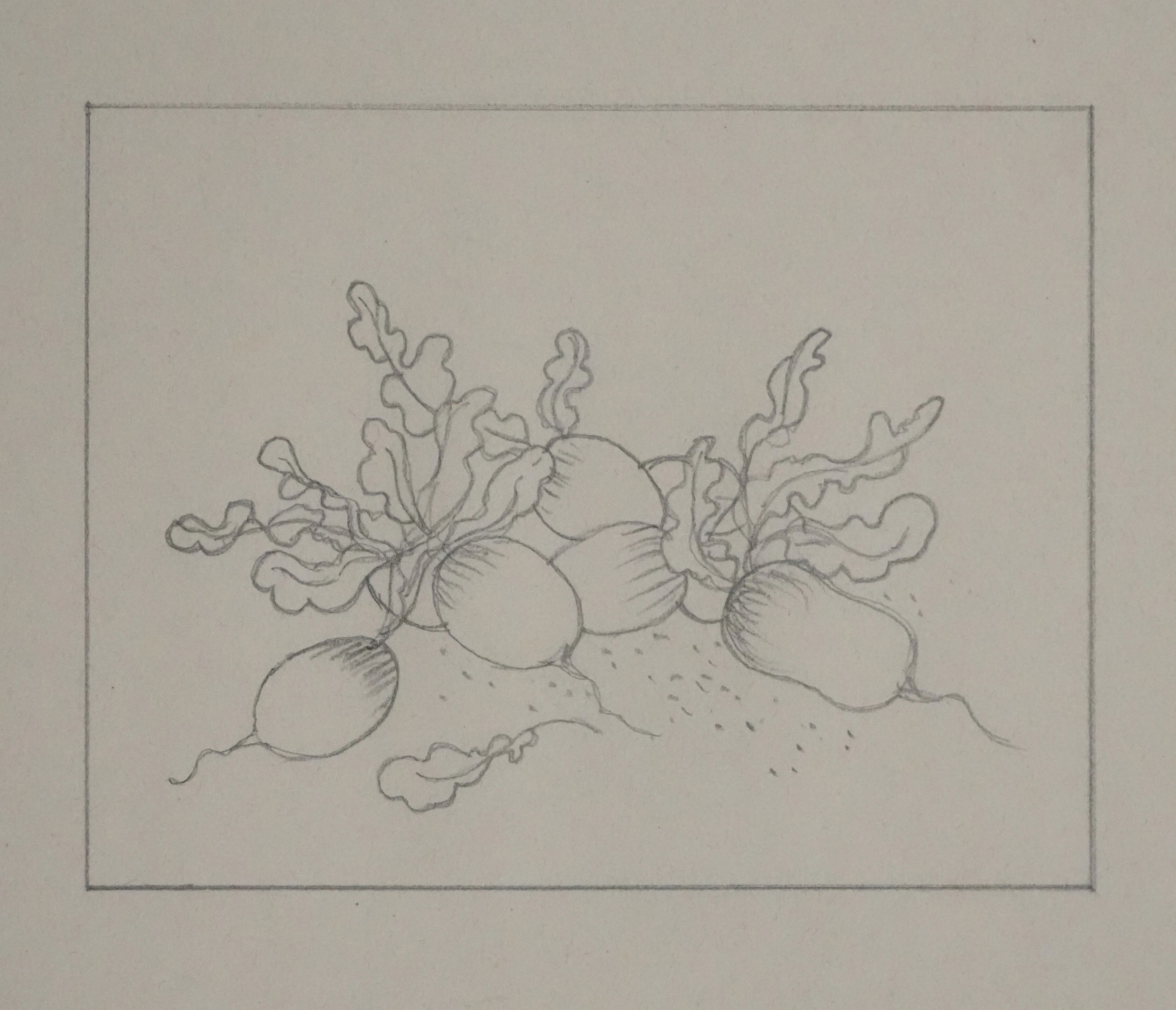 Jean-Emile LABOUREUR : Radis, Dessin original