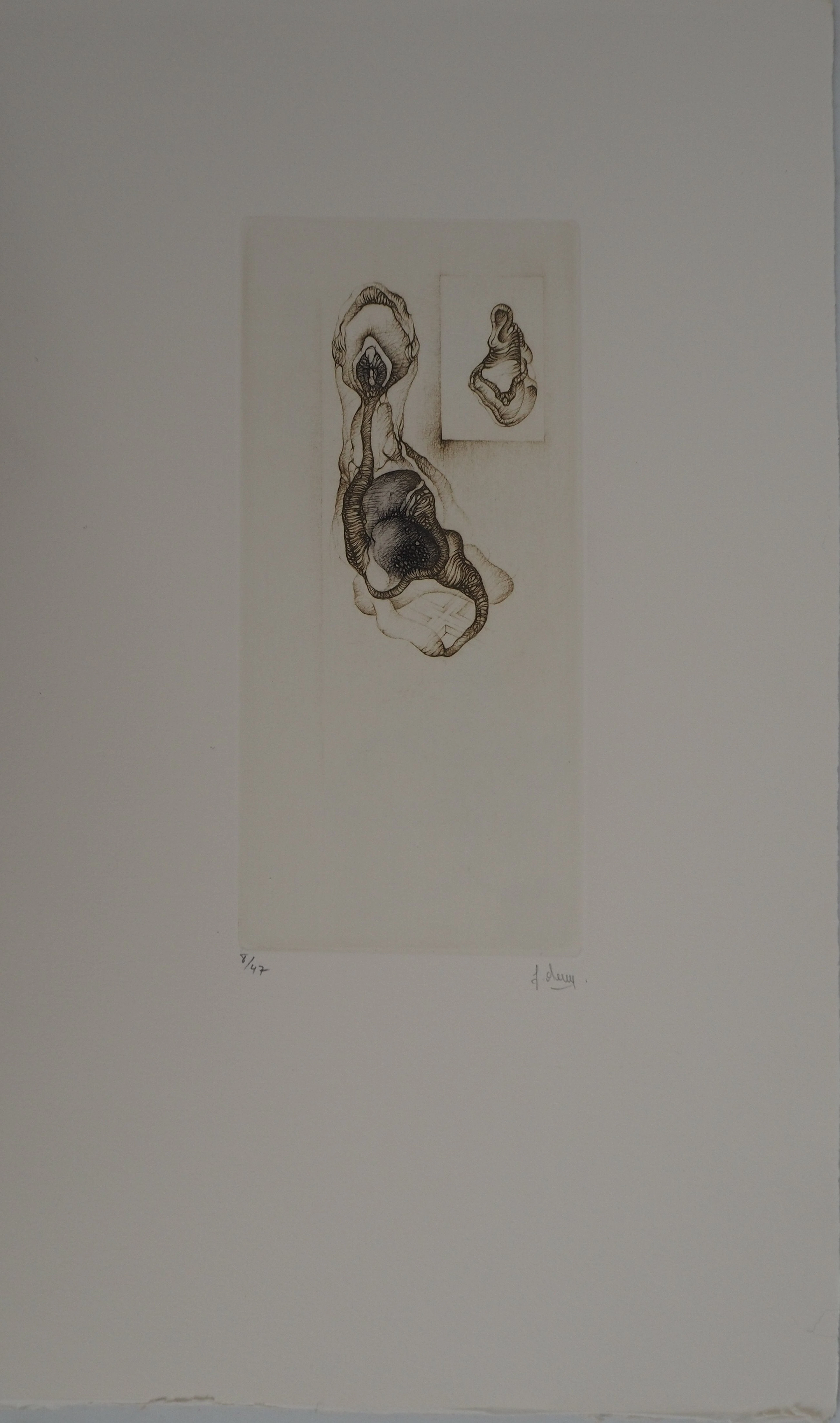 Fred DEUX : Double abstraction naturelle, Gravure originale signée