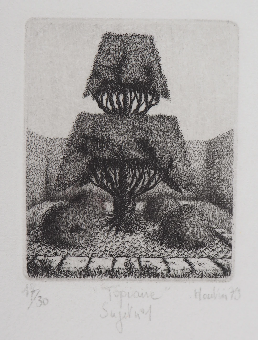 François HOUTIN : Topicure (Sujet n°1) - Gravure Originale Signée