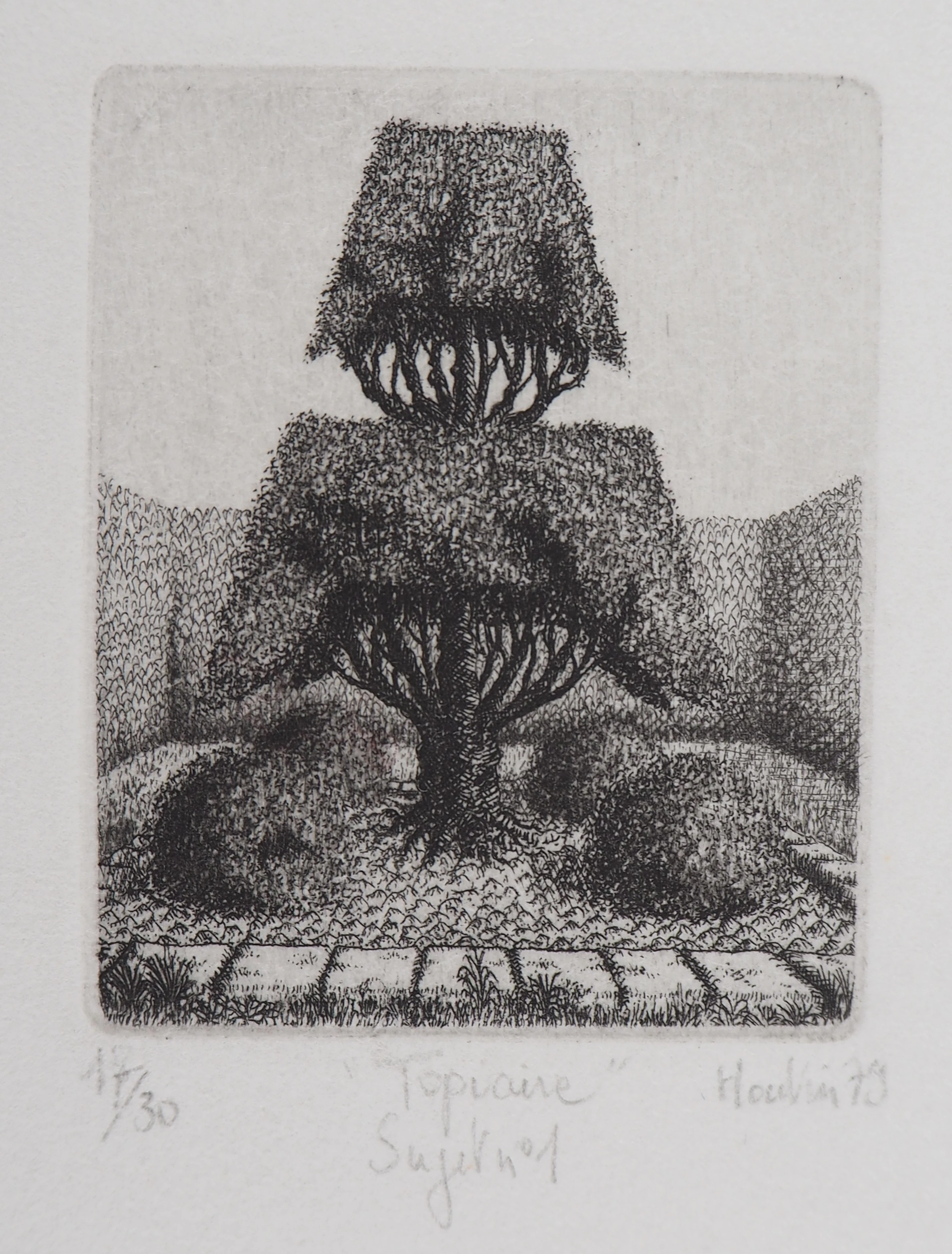 François HOUTIN : Topicure (Sujet n°1) - Gravure Originale Signée