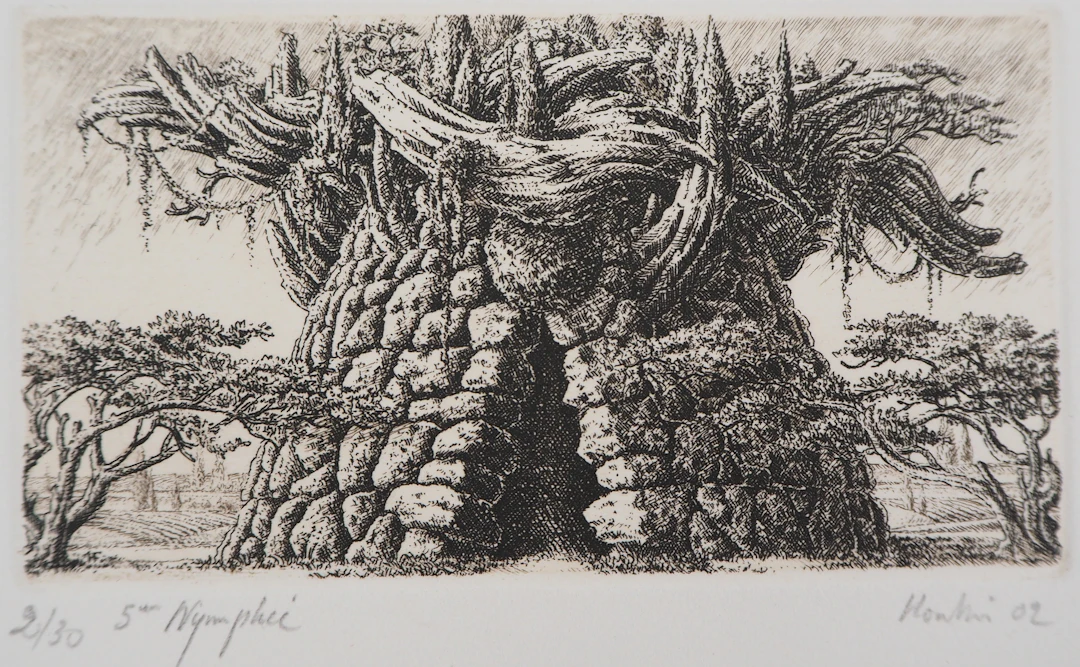 François HOUTIN : 5ème nymphée - Gravure Originale Signée