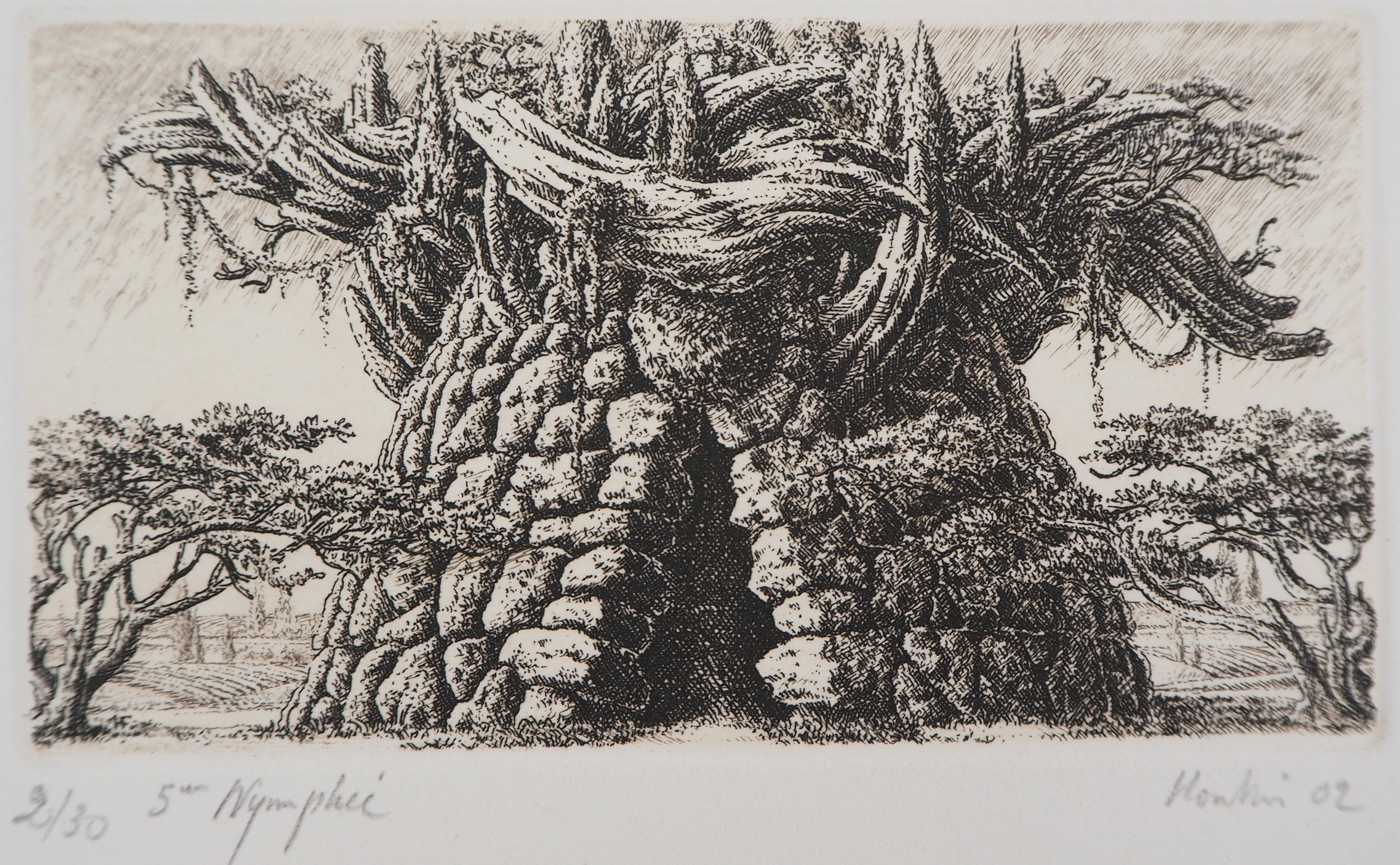 François HOUTIN : 5ème nymphée - Gravure Originale Signée