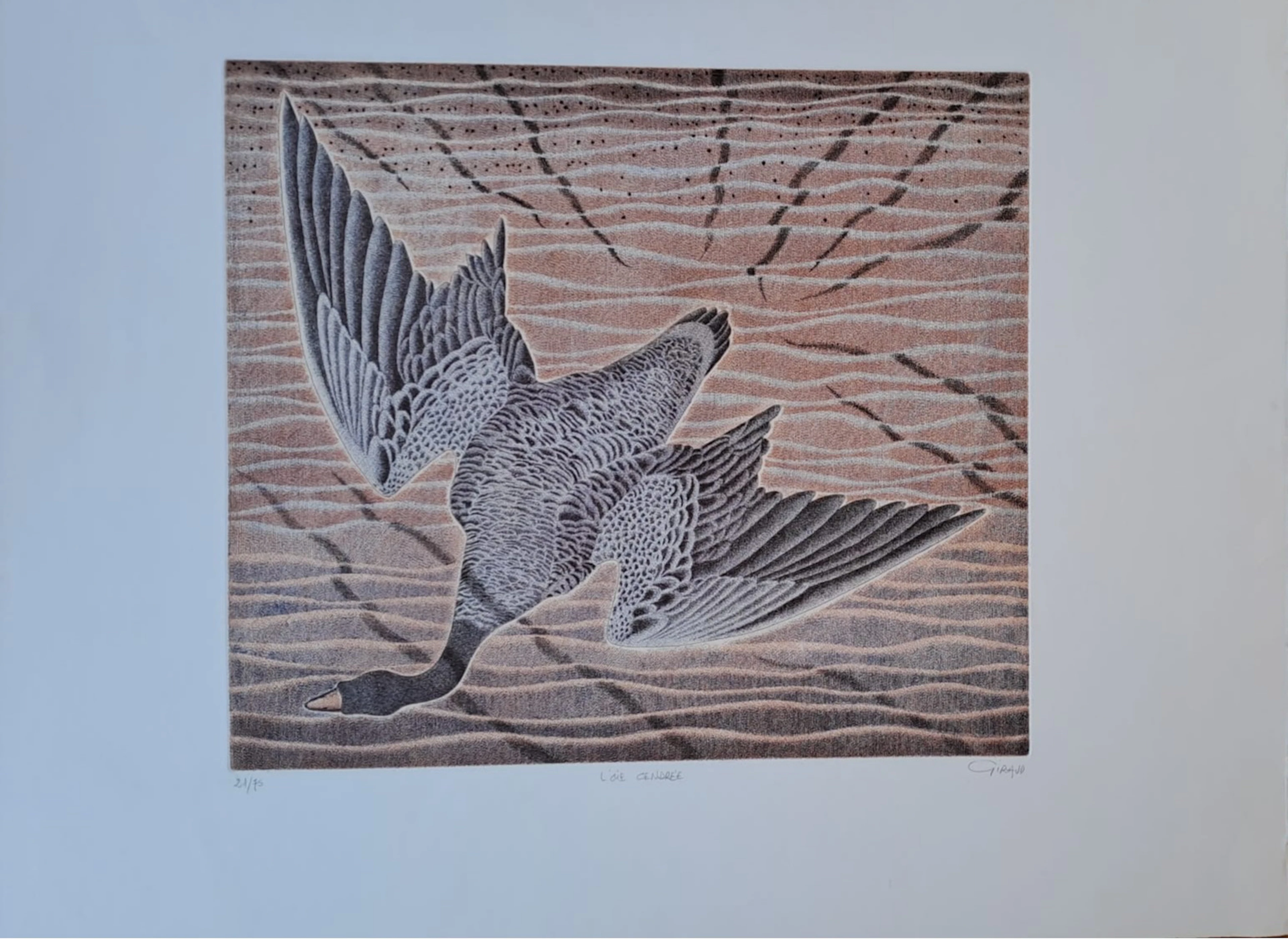Mr Giraud - L’oie cendrée - Lithographie originale, signée et numérotée