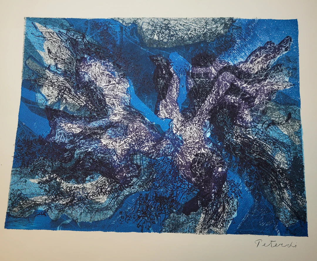 Gabor PETERDI - Arctic Birds, 1964 - Lithographie originale signée au crayon