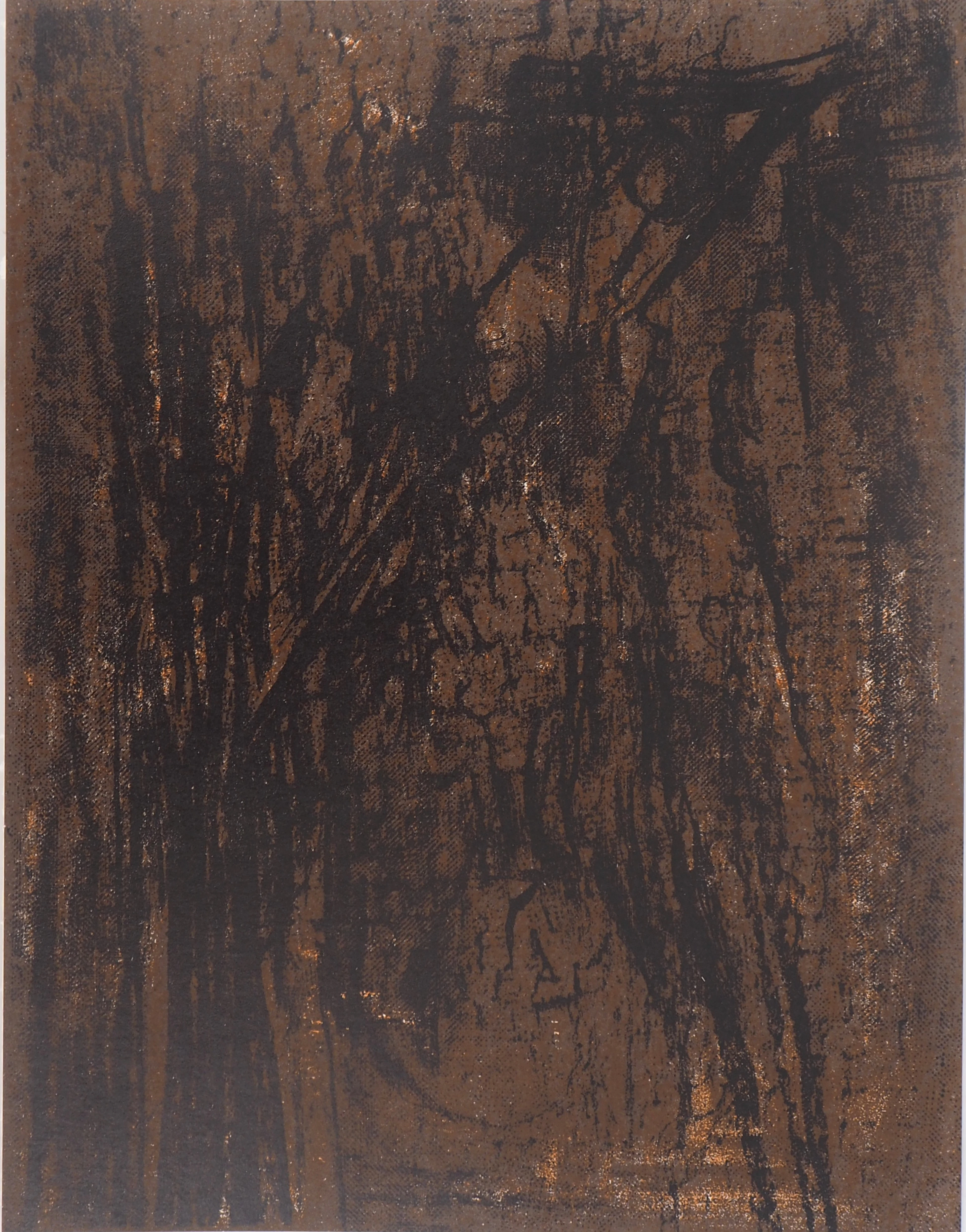 Maria Helena VIEIRA DA SILVA : Terre du Portugal, 1962 - Lithographie originale