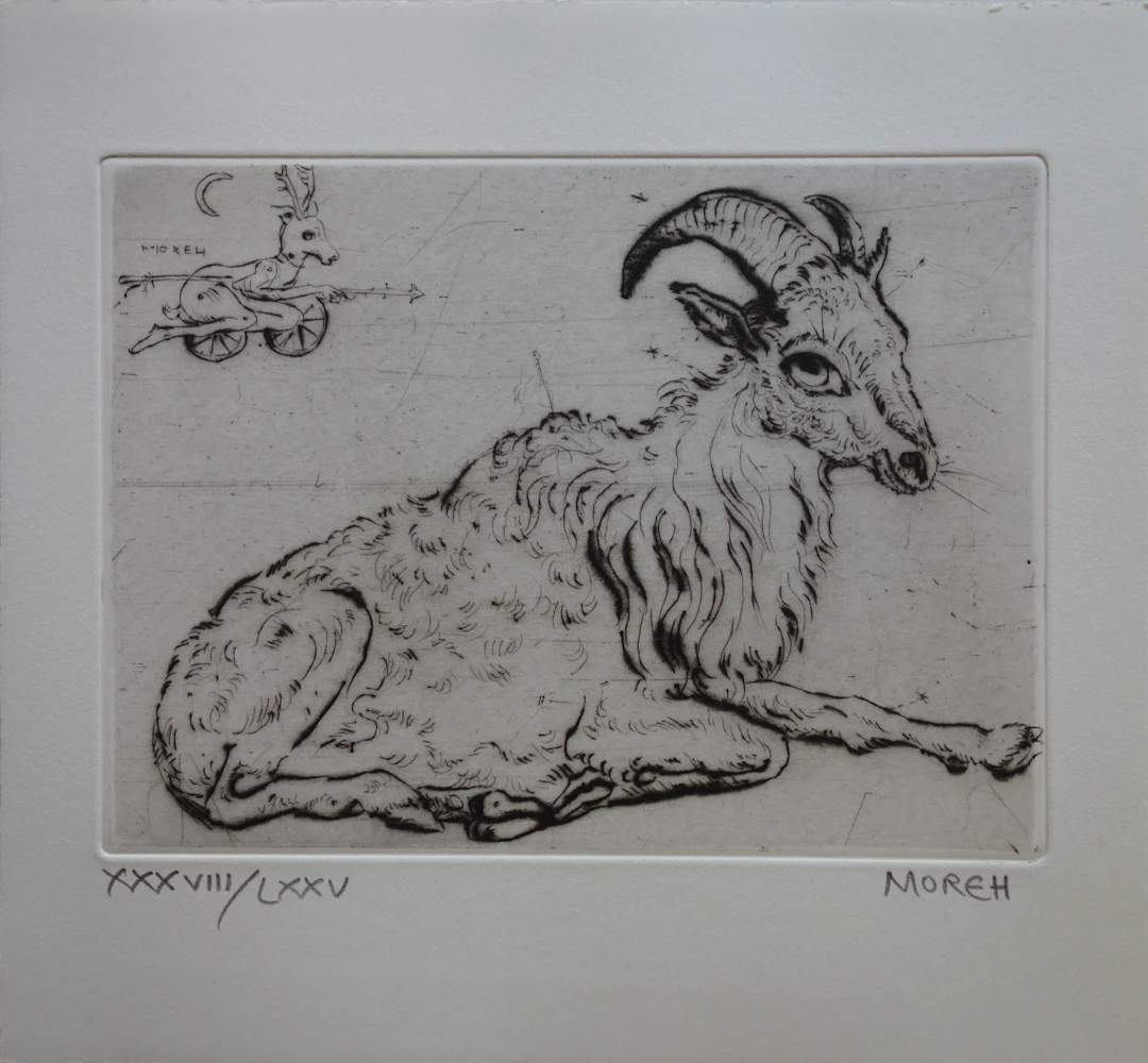 Mordecaï MOREH : Un bouc se reposant - Gravure originale signée