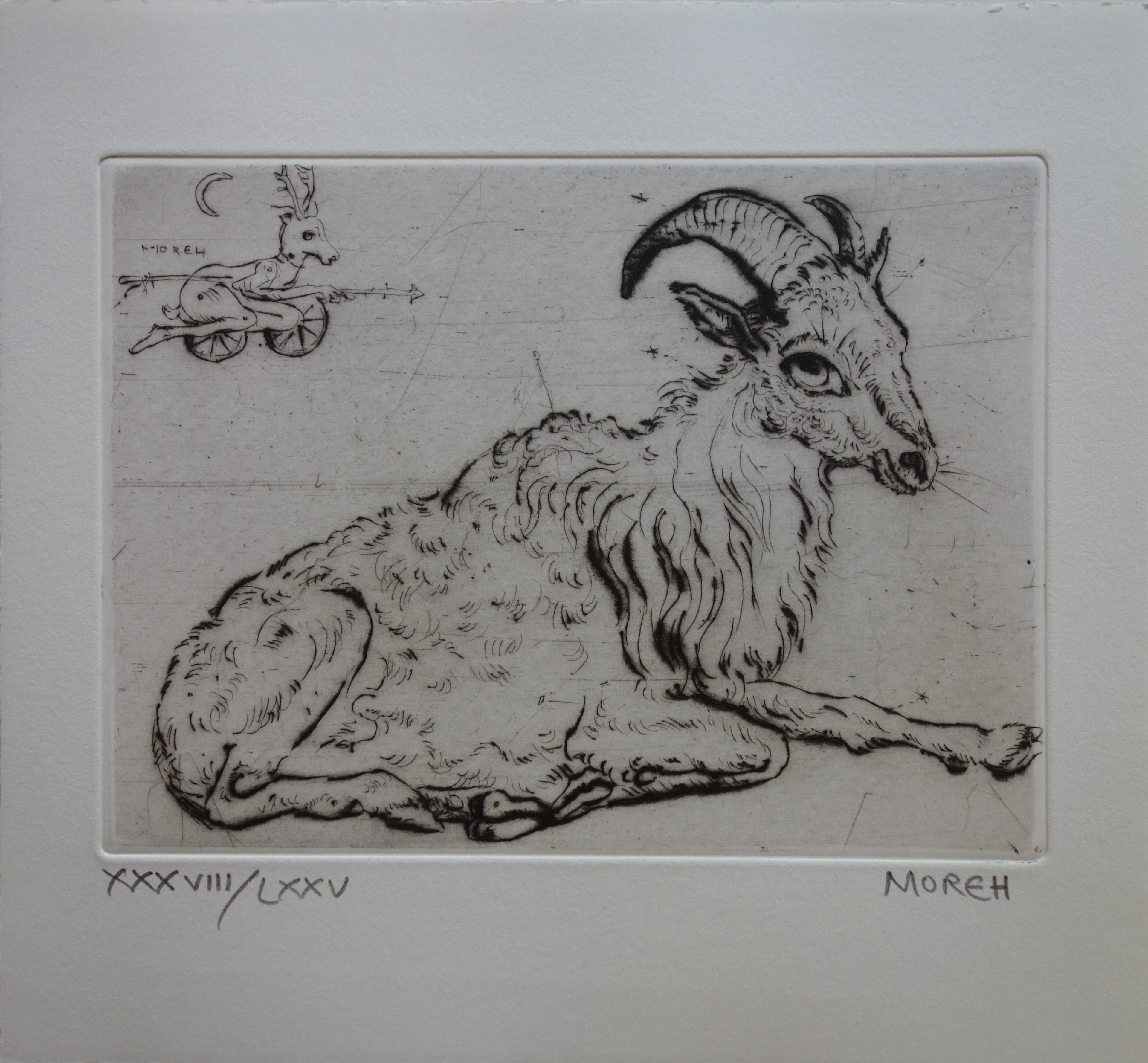Mordecaï MOREH : Un bouc se reposant - Gravure originale signée