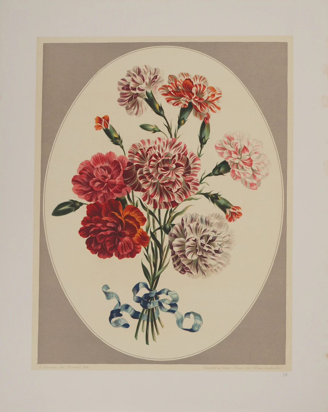 John EDWARDS : Fleurs et Bouquets, Les œillets du fleuriste, Lithographie