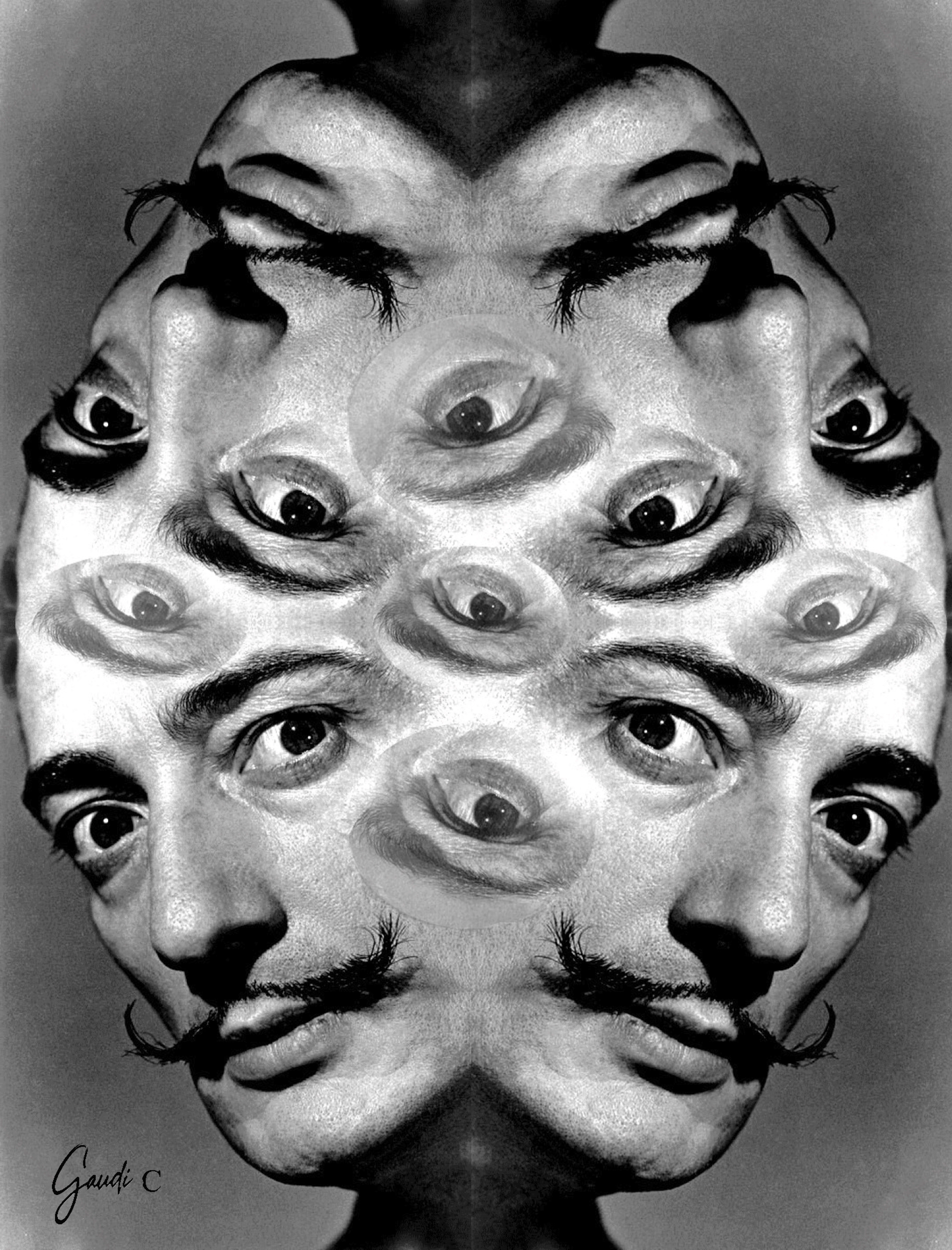 Gaudi .C -salvatore-dali-te-regarde(2015)
