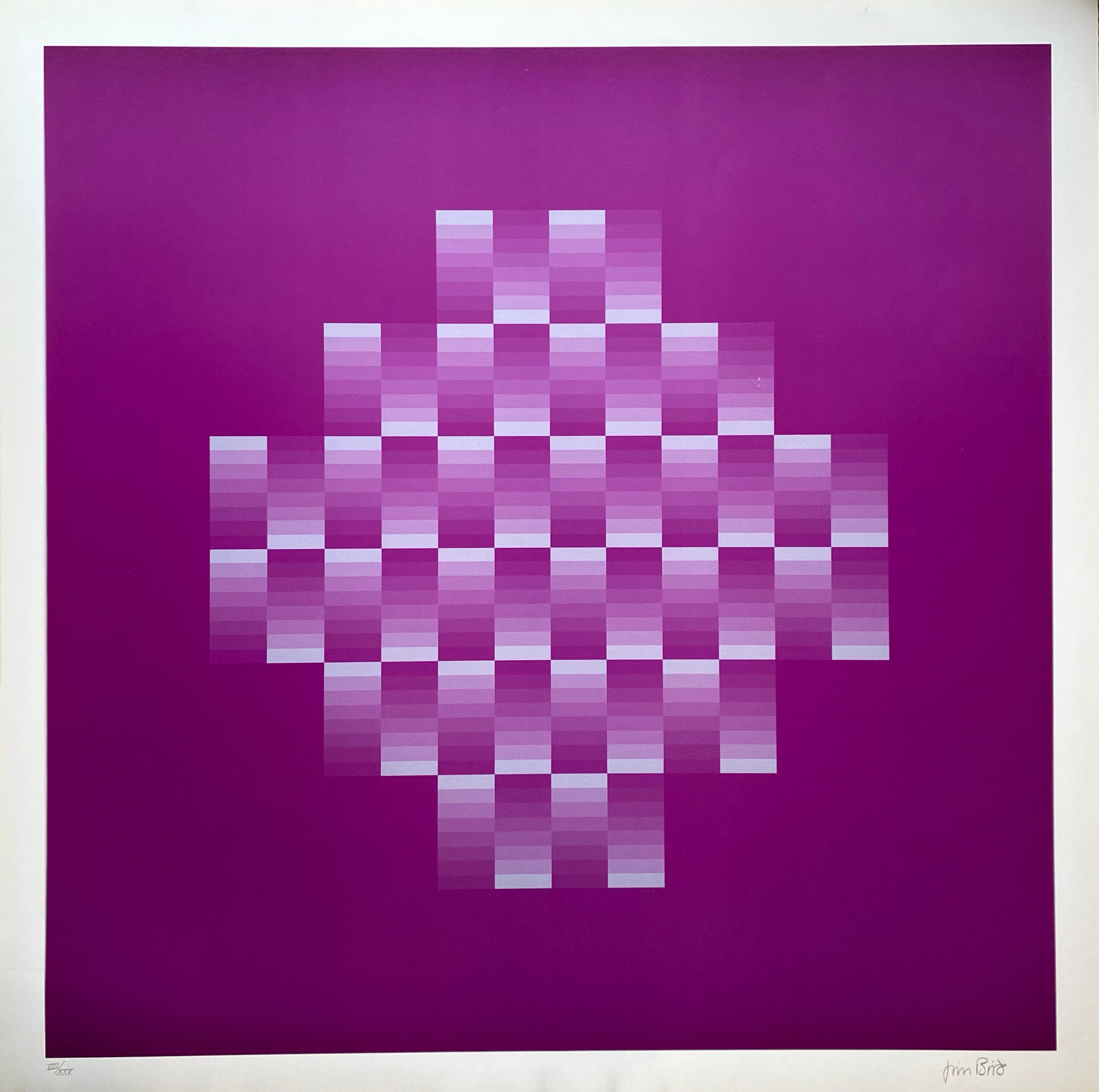 Jim Bird - tribute to Vasarely