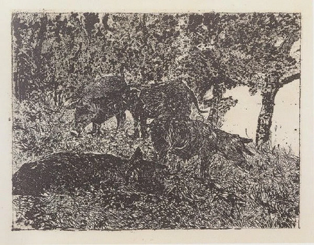 Giovanni FATTORI - Groupe de cochons - Eau-forte
