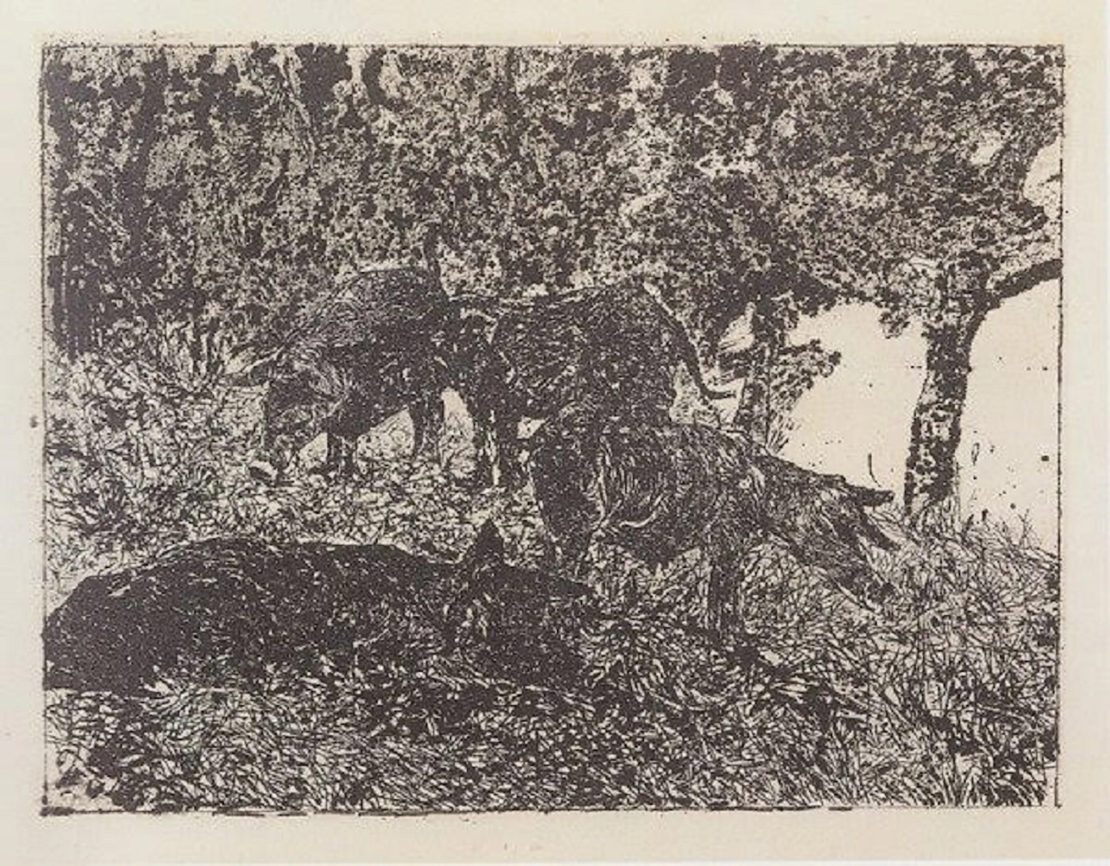 Giovanni FATTORI - Groupe de cochons - Eau-forte