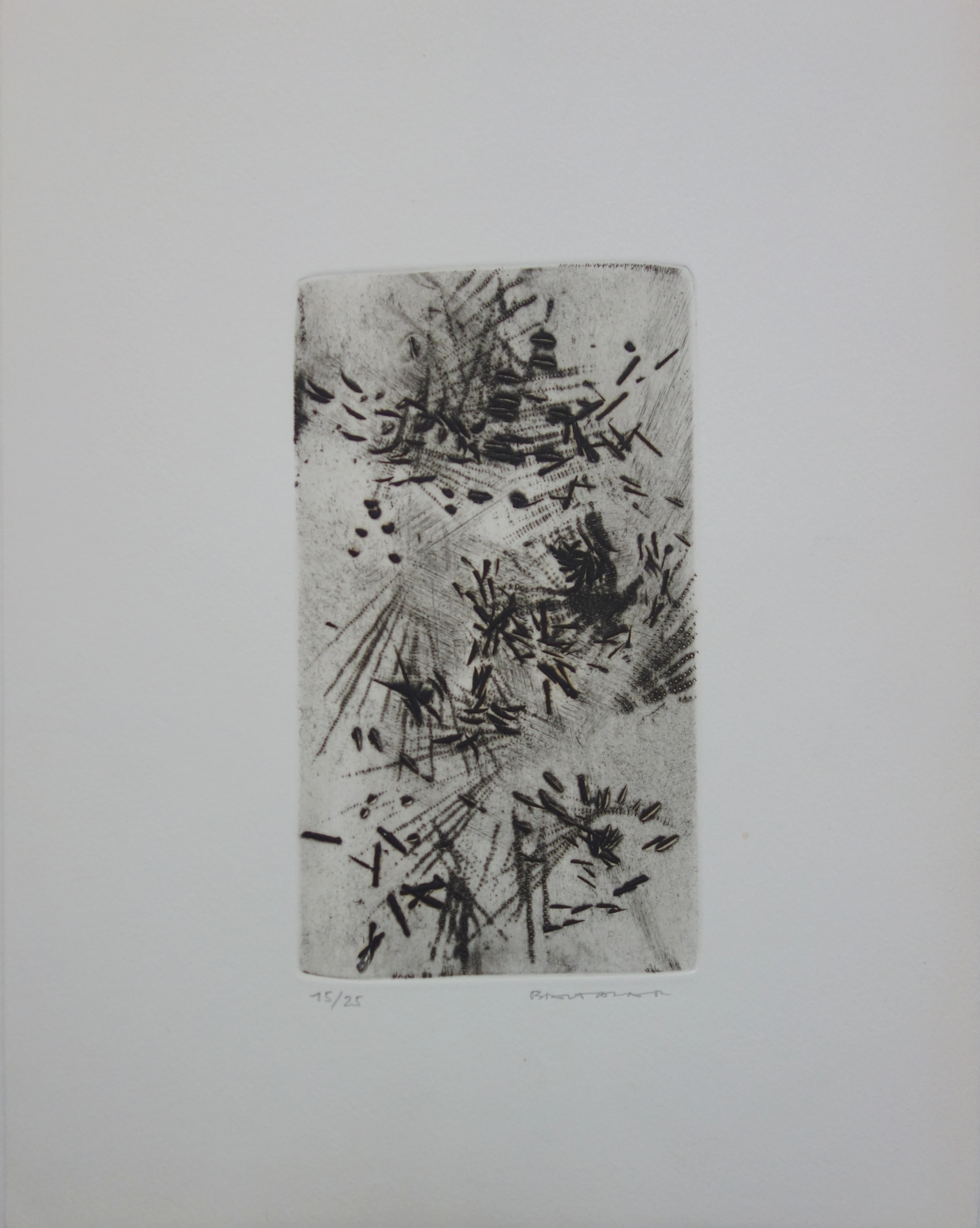 Julius BALTAZAR - Graminées - Gravure originale signée