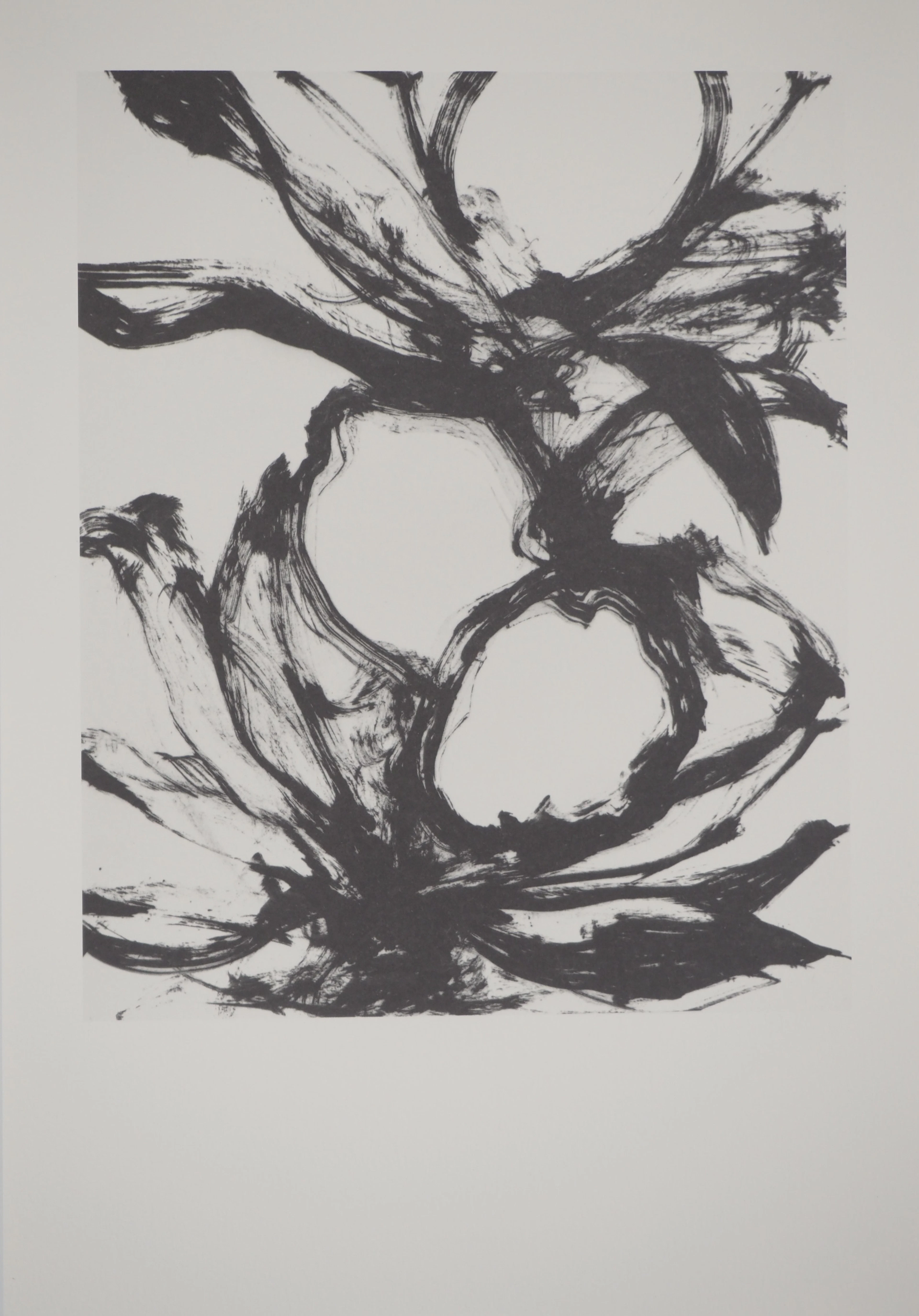 Yves OPPENHEIM : Fruit, Héliogravure