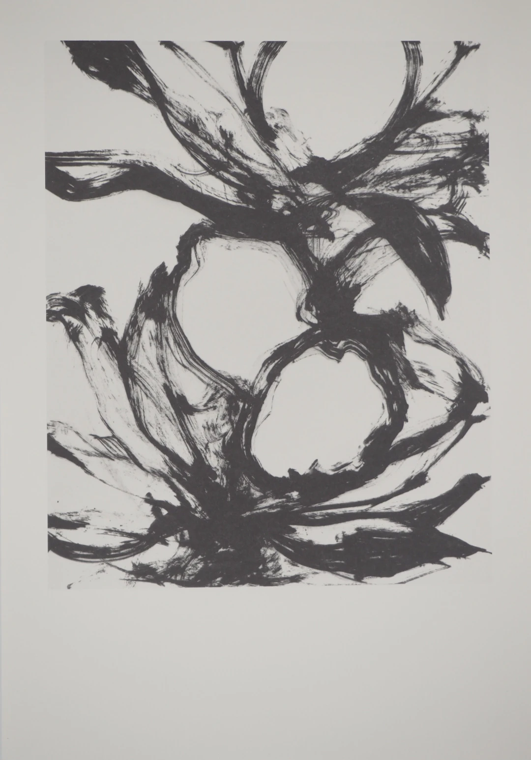 Yves OPPENHEIM : Fruit, Héliogravure