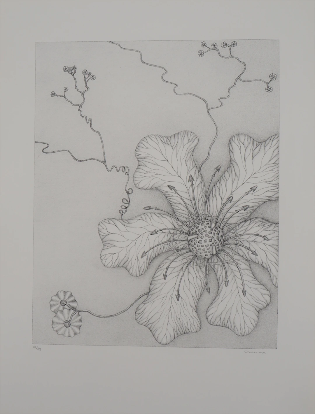 Gochka Charewicz - Grande fleur - Lithographie originale signée
