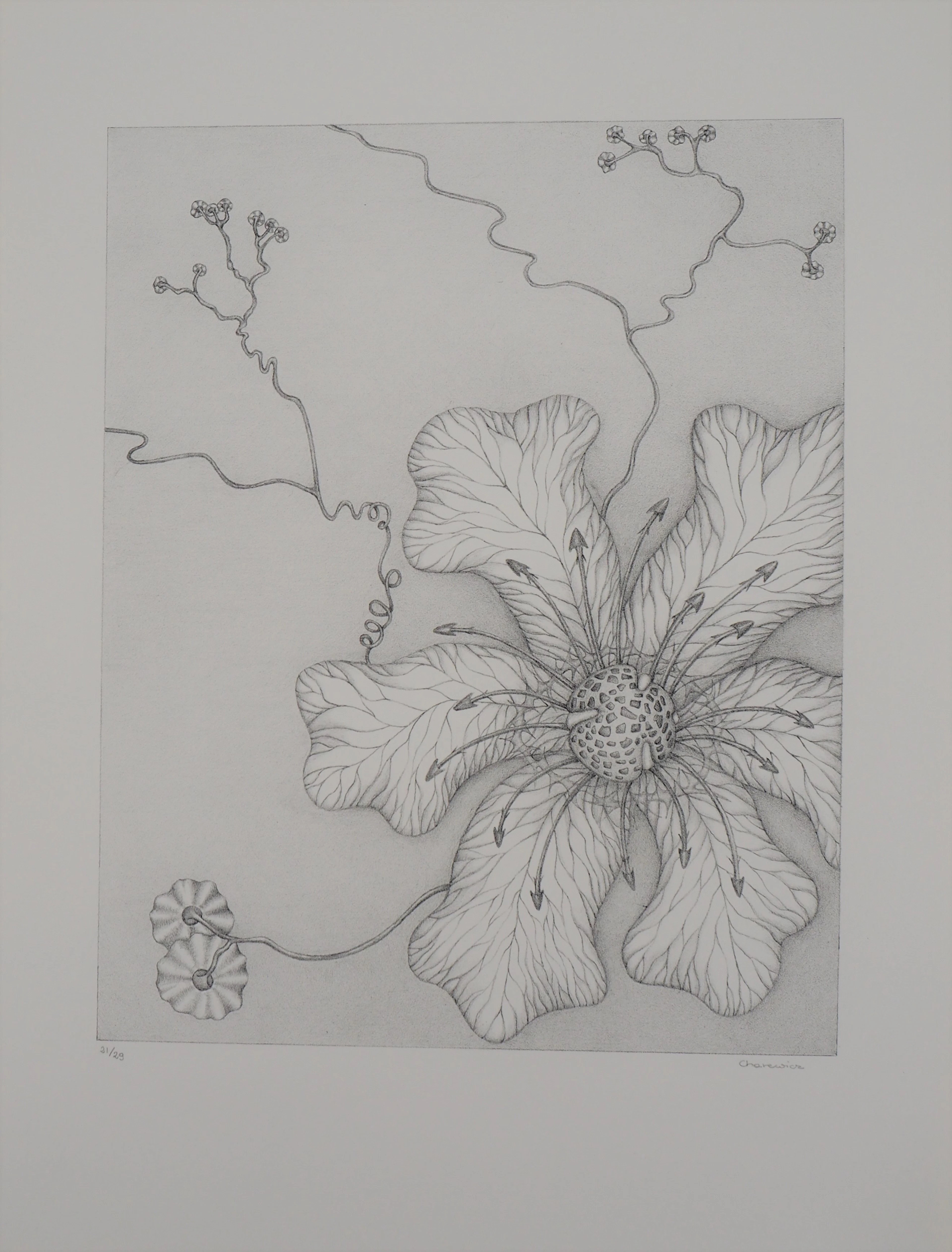 Gochka Charewicz - Grande fleur - Lithographie originale signée