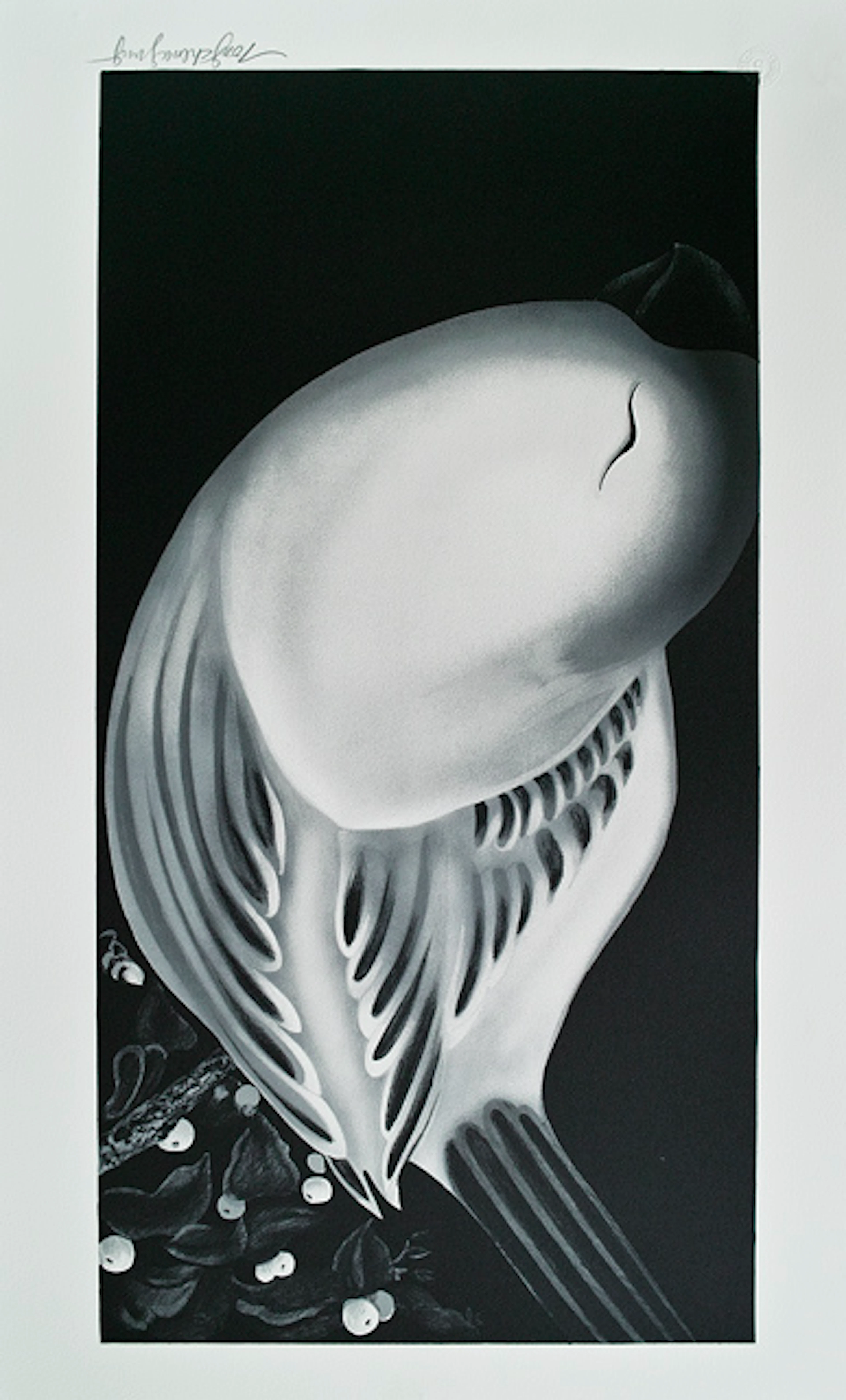 Tong ZHENGANG - Oiseau 2, Lithographie signée et numérotée