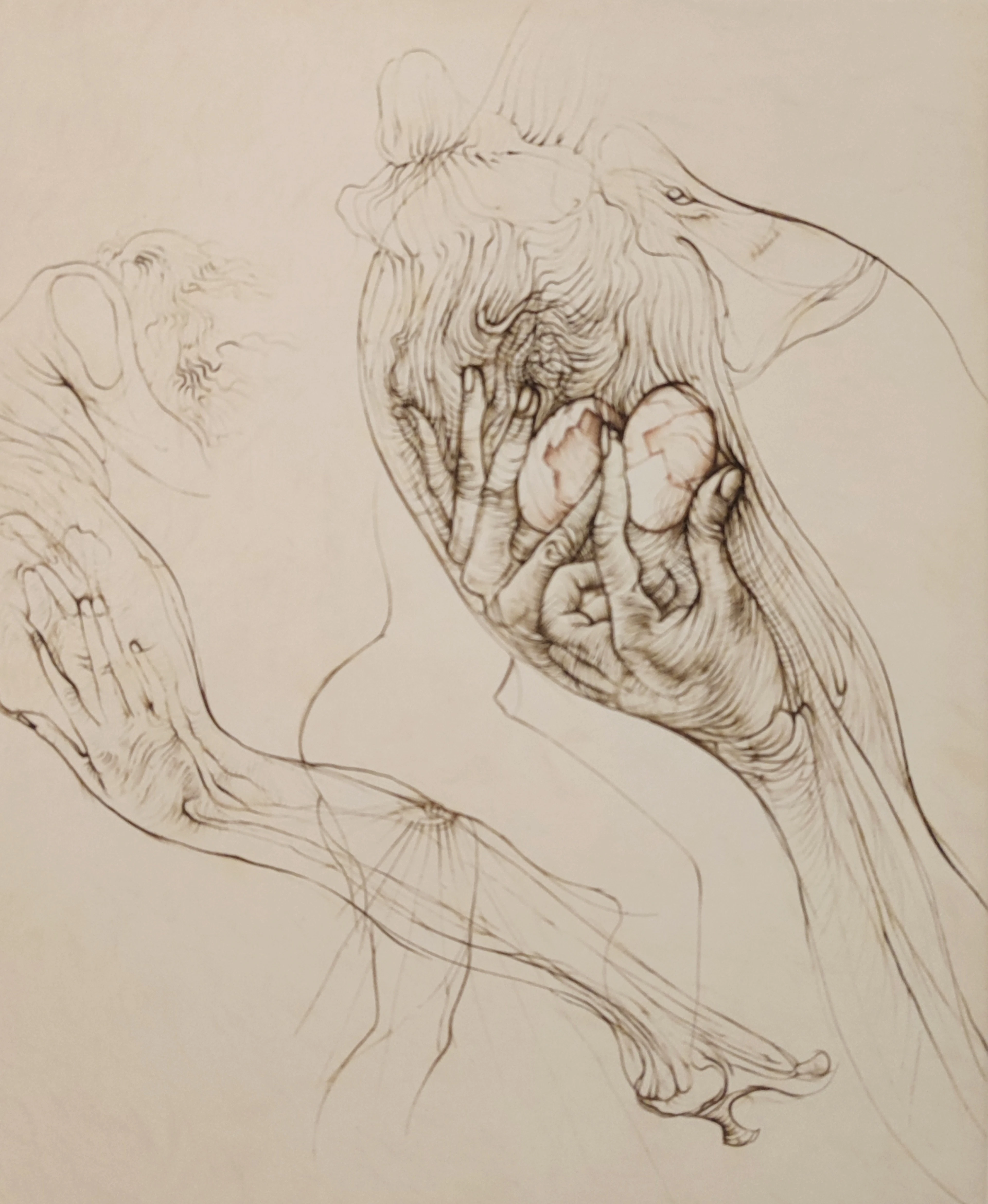 Hans BELLMER - L’oeuf, 1972 - Gravure