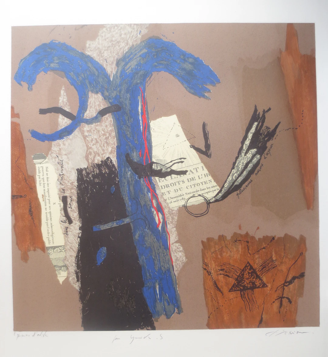 Richard TEXIER - Déclaration des droits de l’homme, 1989 - Lithographie