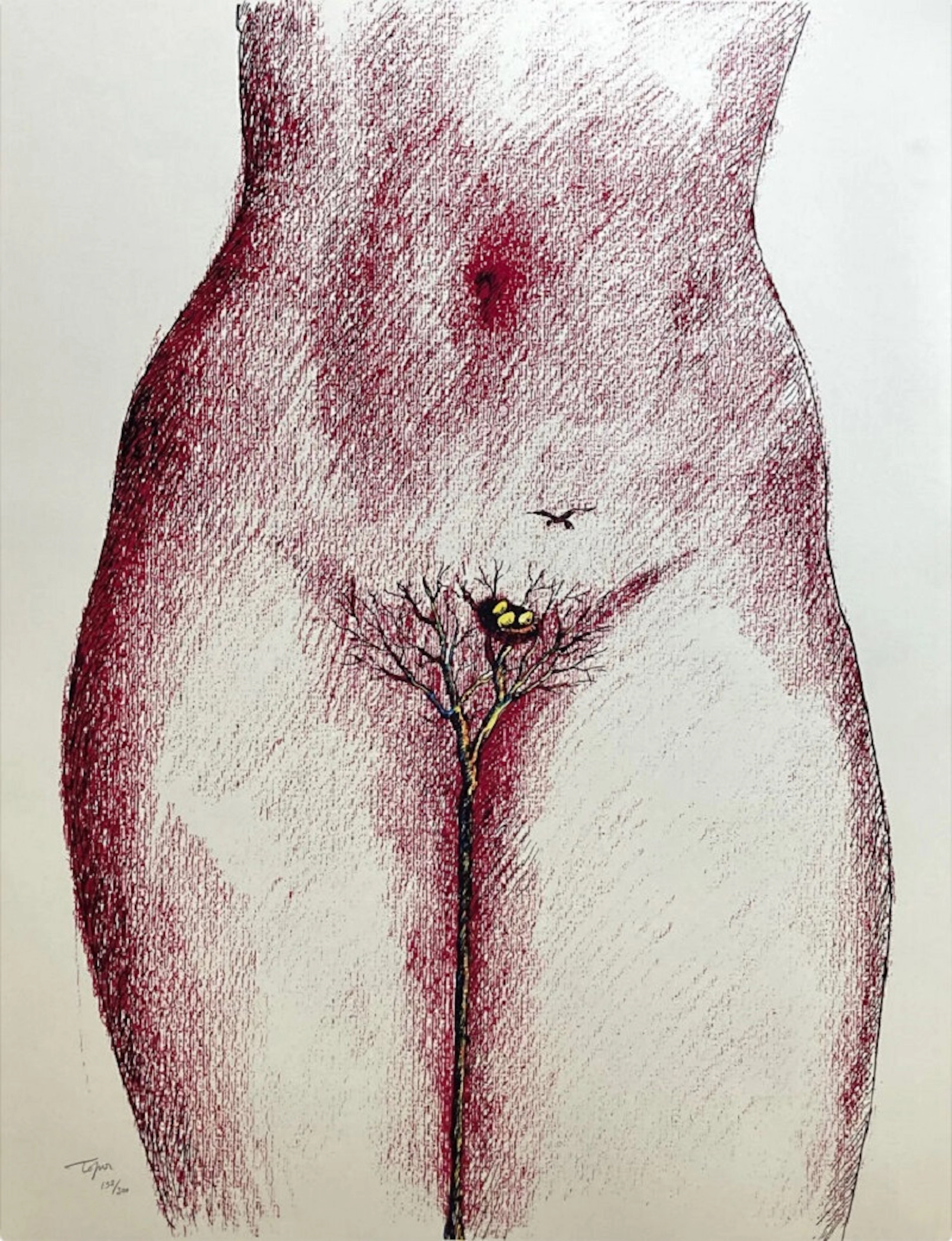Roland TOPOR - Le nid, 1970 - Lithographie signée au crayon
