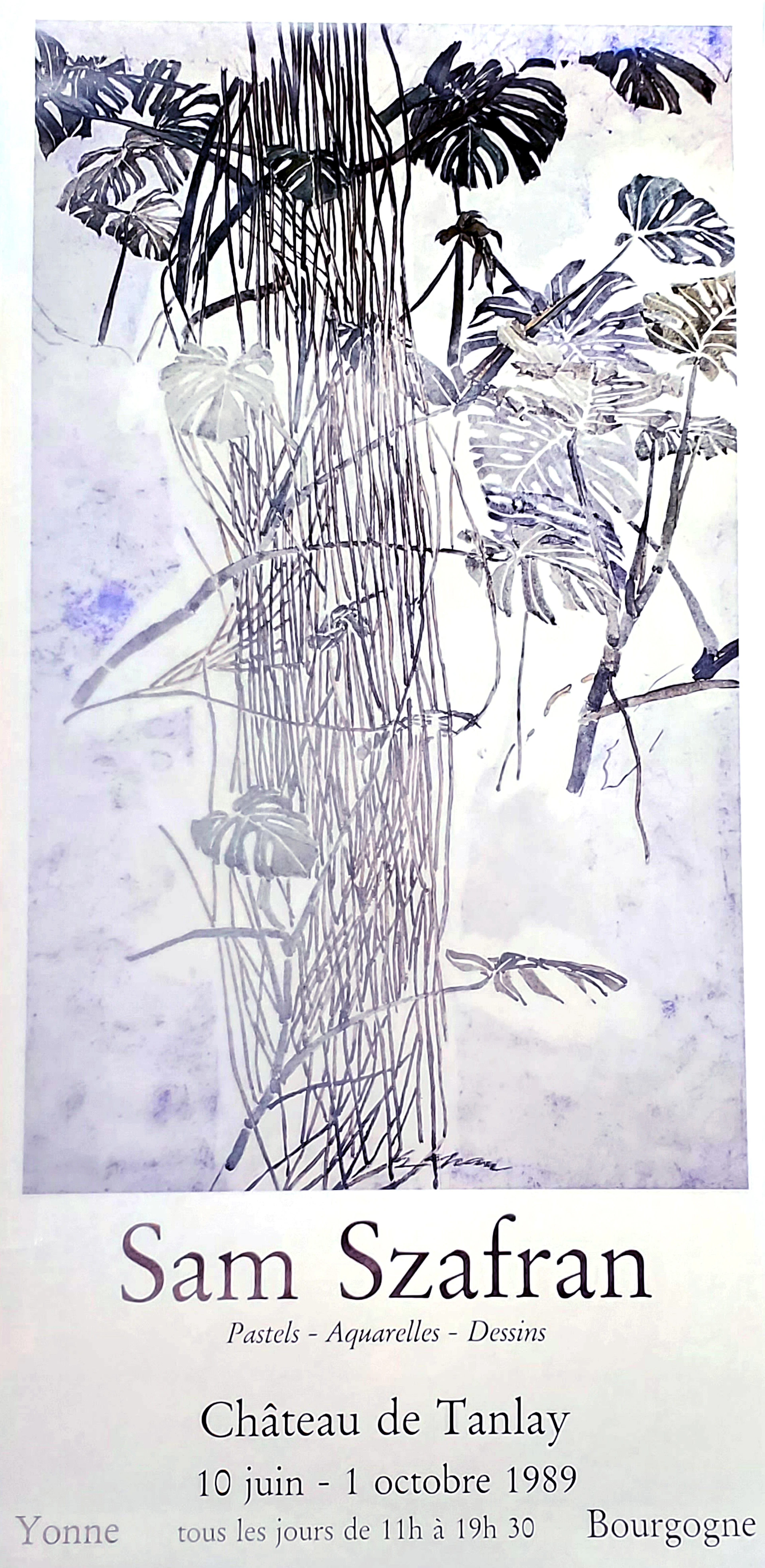 Sam Szafran, Plantes et lianes, affiche originale, 1989