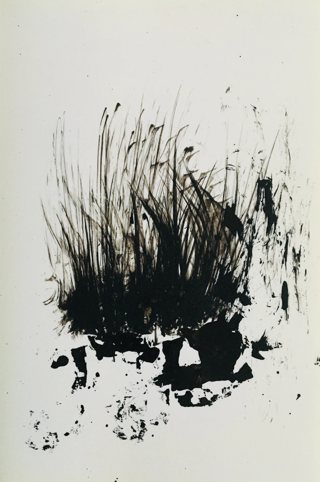 Philippe COGNEE - Broussailles, 2016 - Dessin signé
