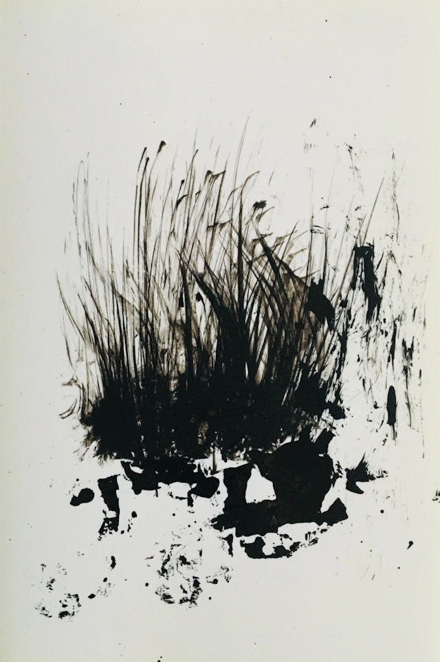 Philippe COGNEE - Broussailles, 2016 - Dessin signé