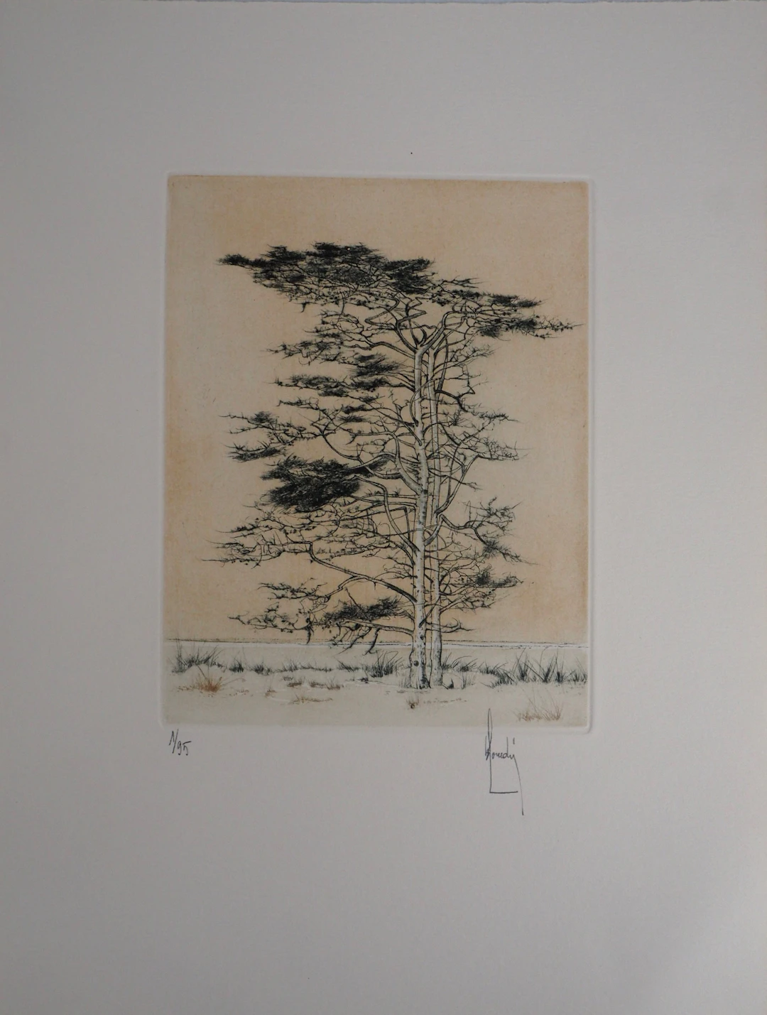 Bernard LOUEDIN : Le pin sylvestre - Gravure Originale Signée