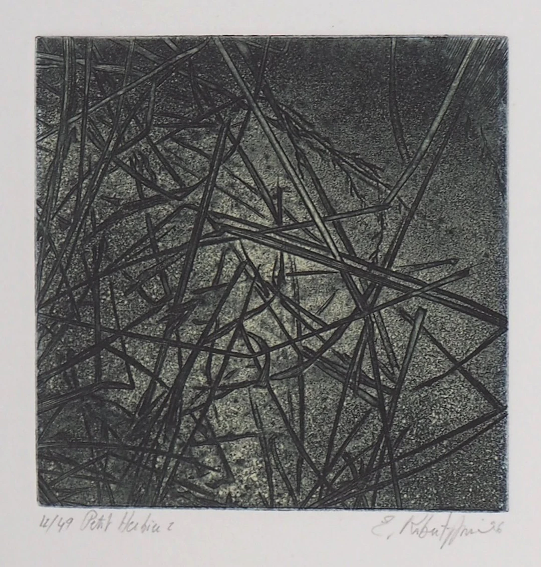 Eric ROBERT-AYME : Herbiers éclatées, 1996 - Gravure originale signée